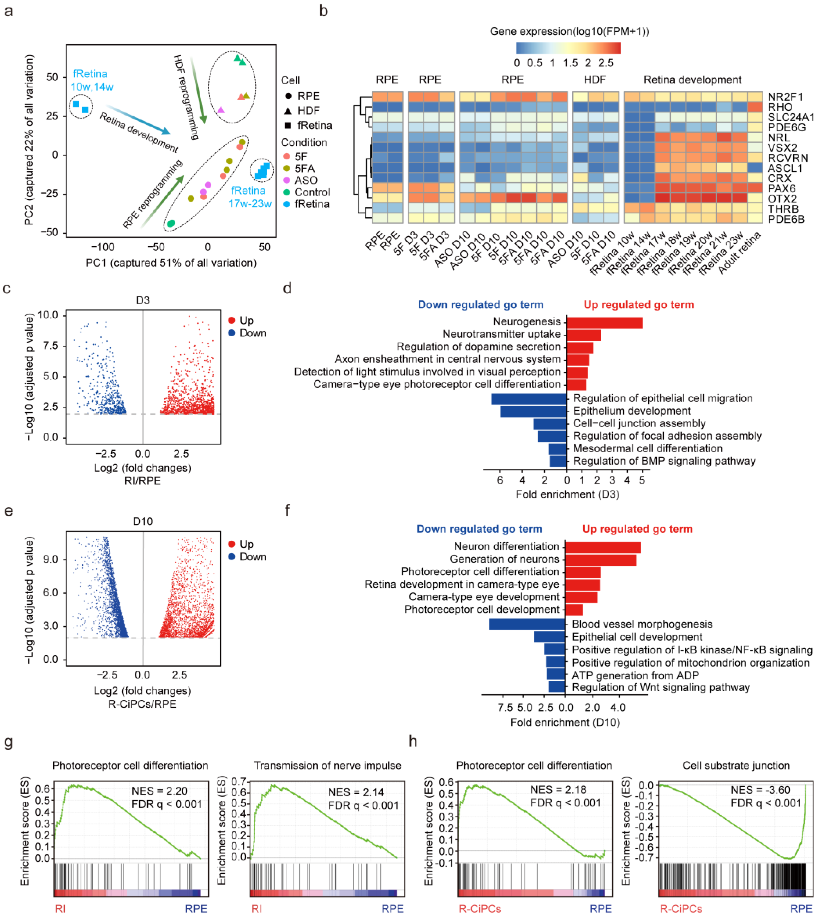 Cells 11 03146 g003 Cells 11 03146 g003