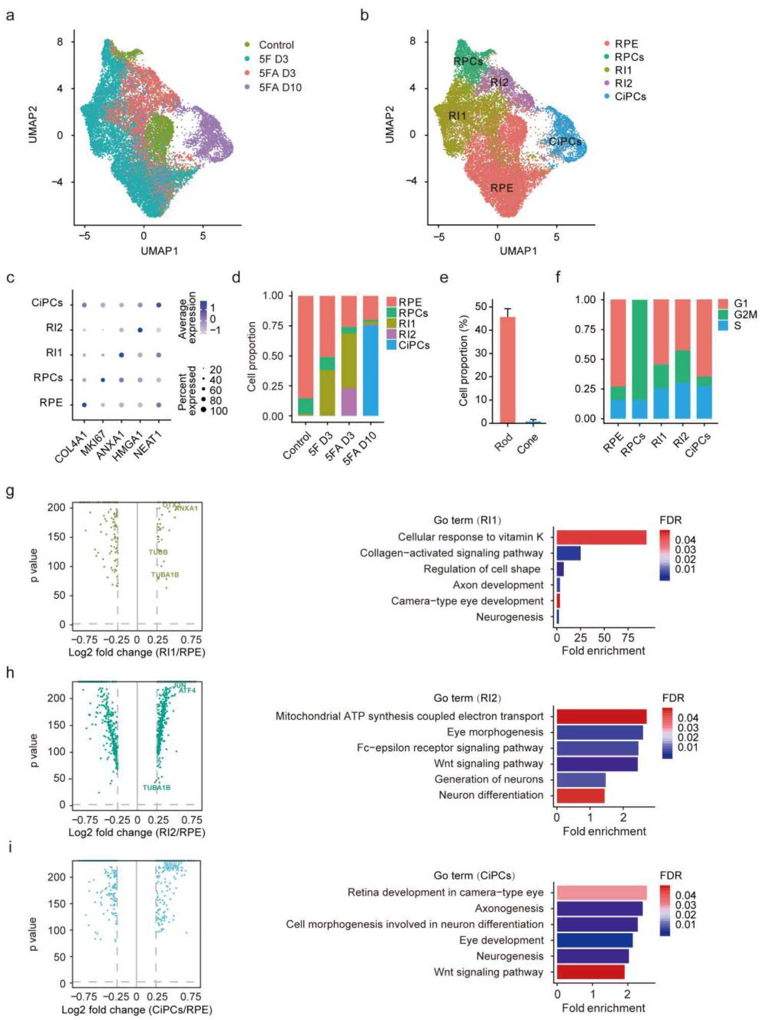 Cells 11 03146 g005 Cells 11 03146 g005