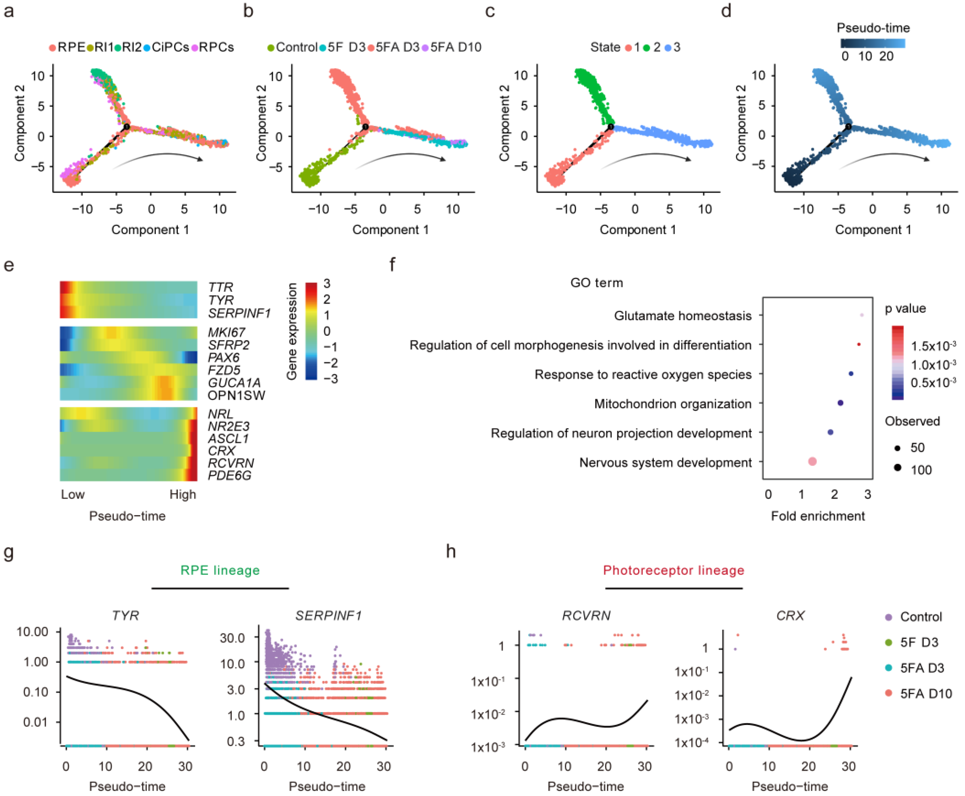 Cells 11 03146 g006 Cells 11 03146 g006