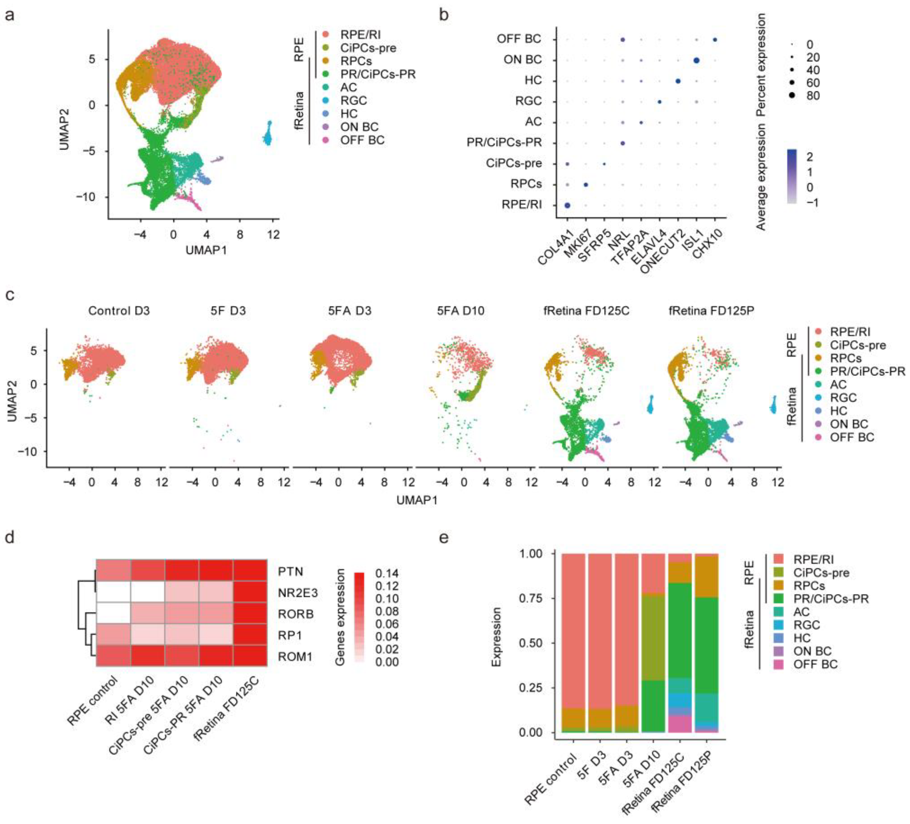 Cells 11 03146 g007 Cells 11 03146 g007