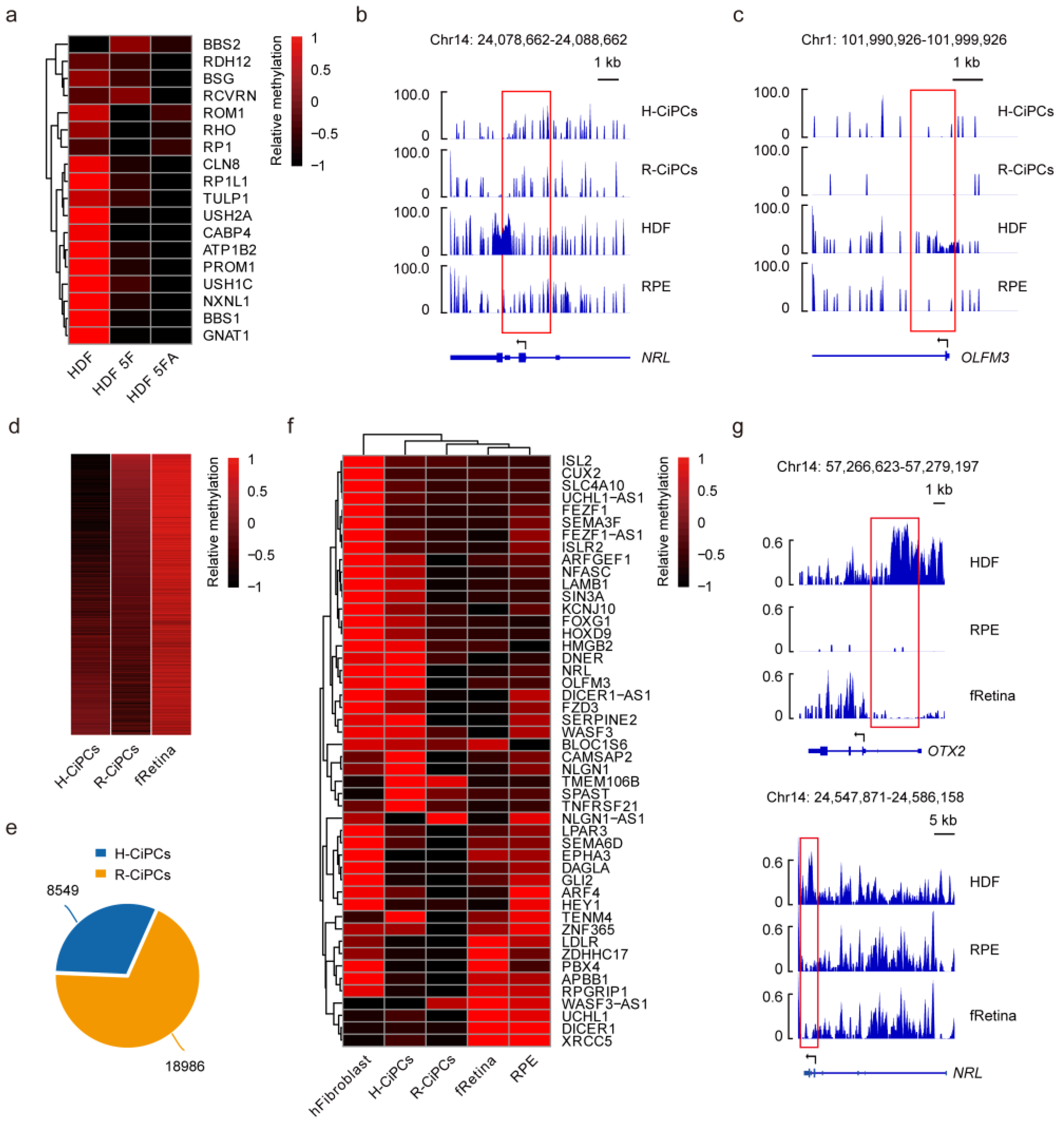 Cells 11 03146 g008 Cells 11 03146 g008