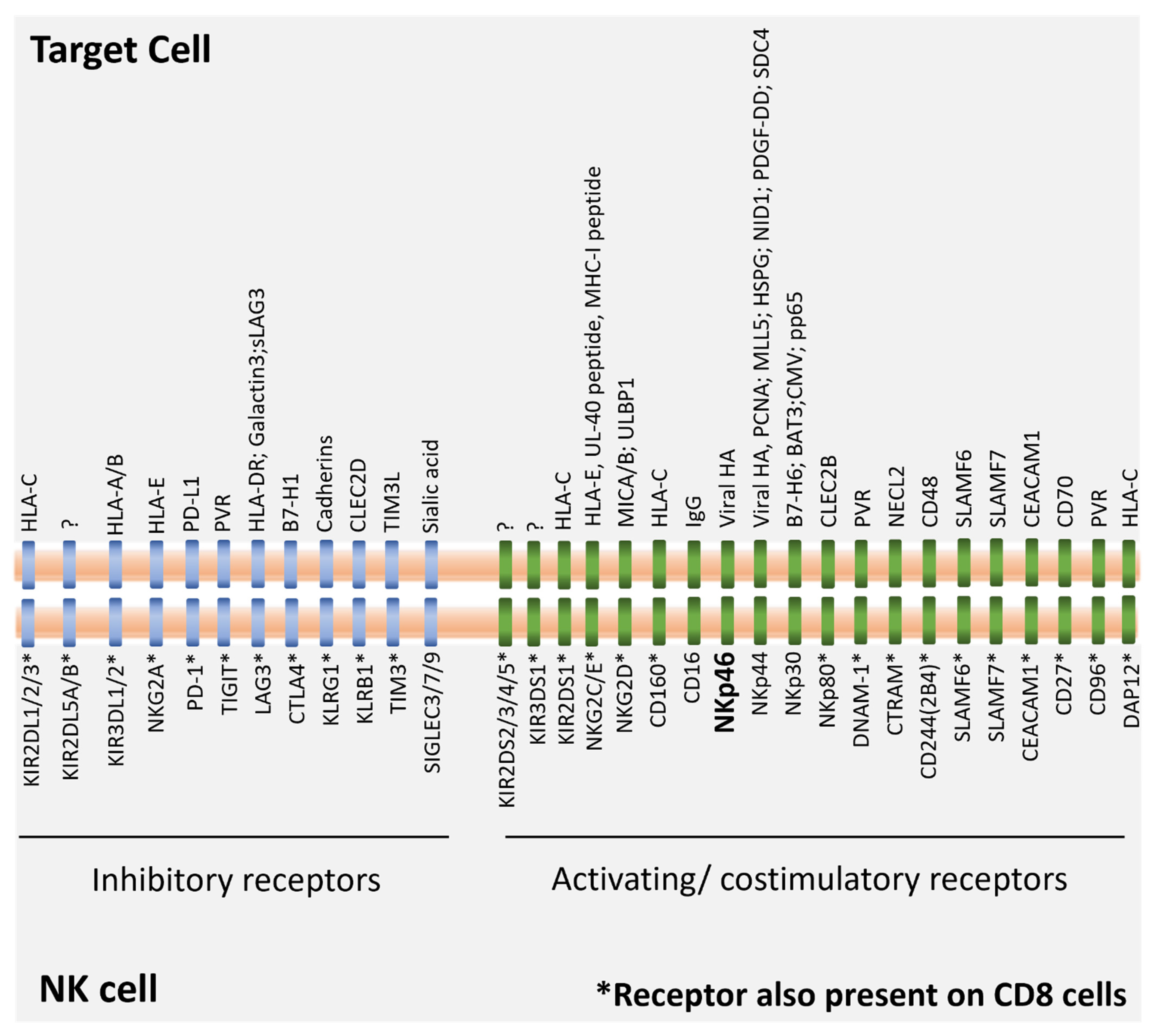 Cells 11 03147 g001 Cells 11 03147 g001