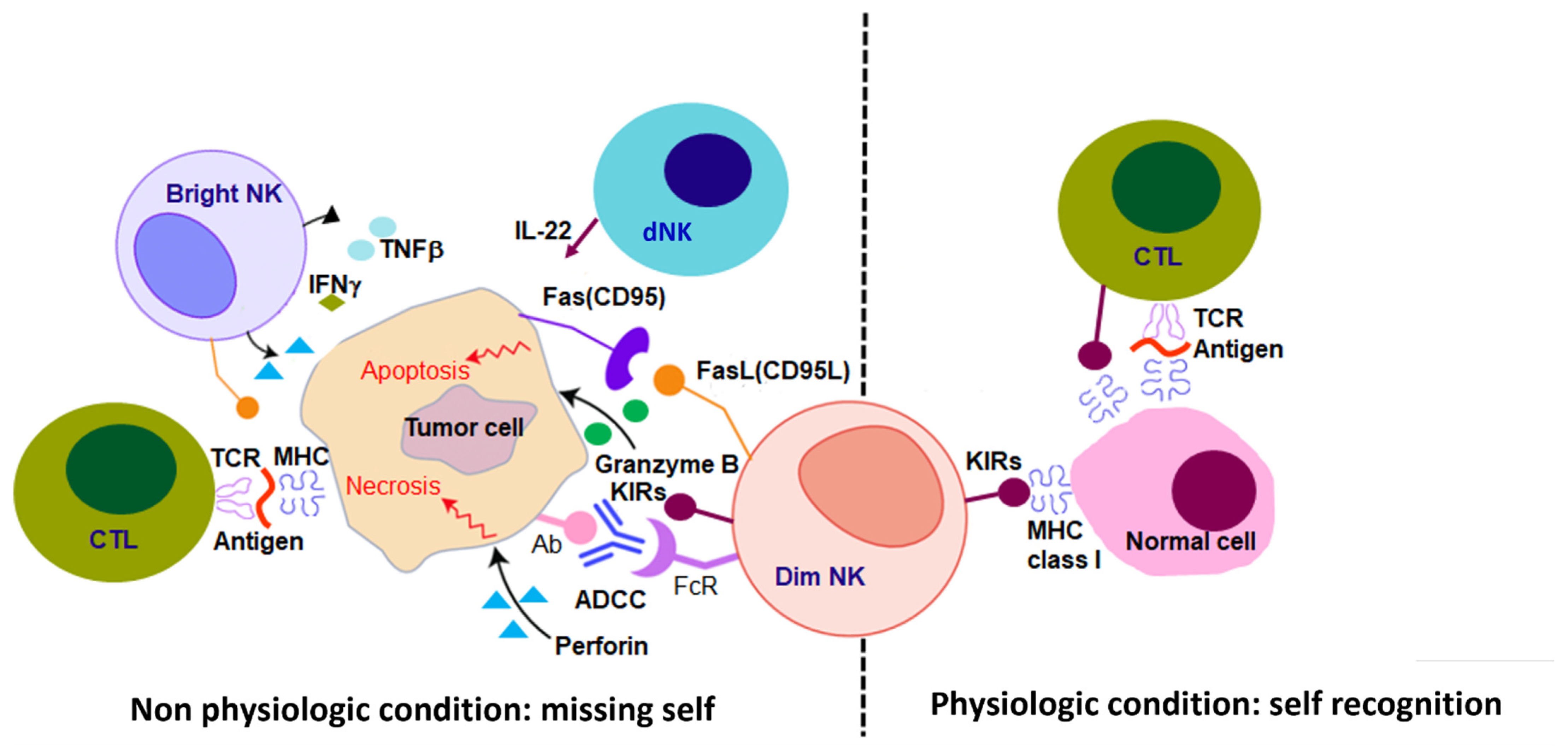 Cells 11 03147 g002 Cells 11 03147 g002