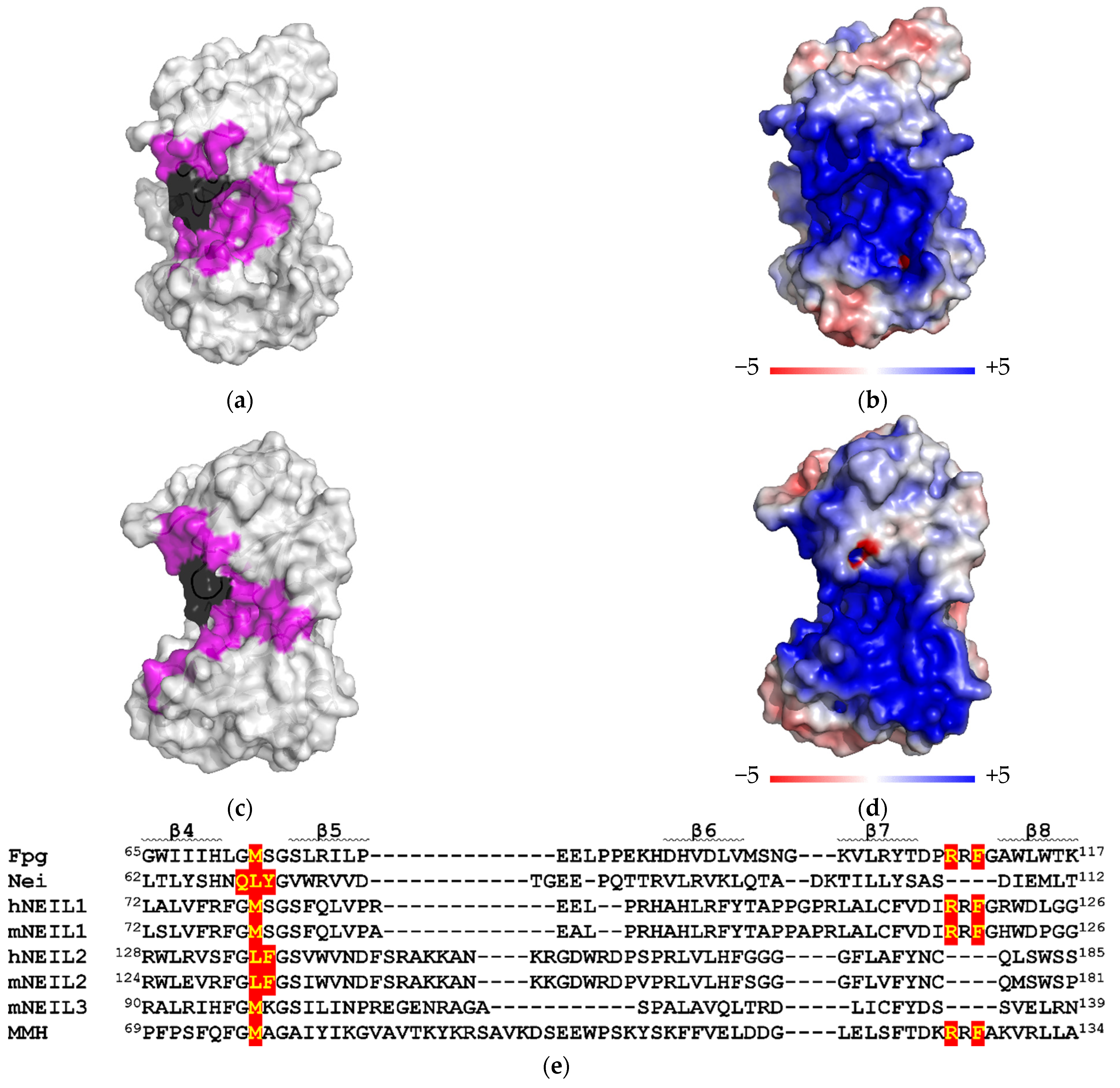 Cells 11 03192 g005 Cells 11 03192 g005