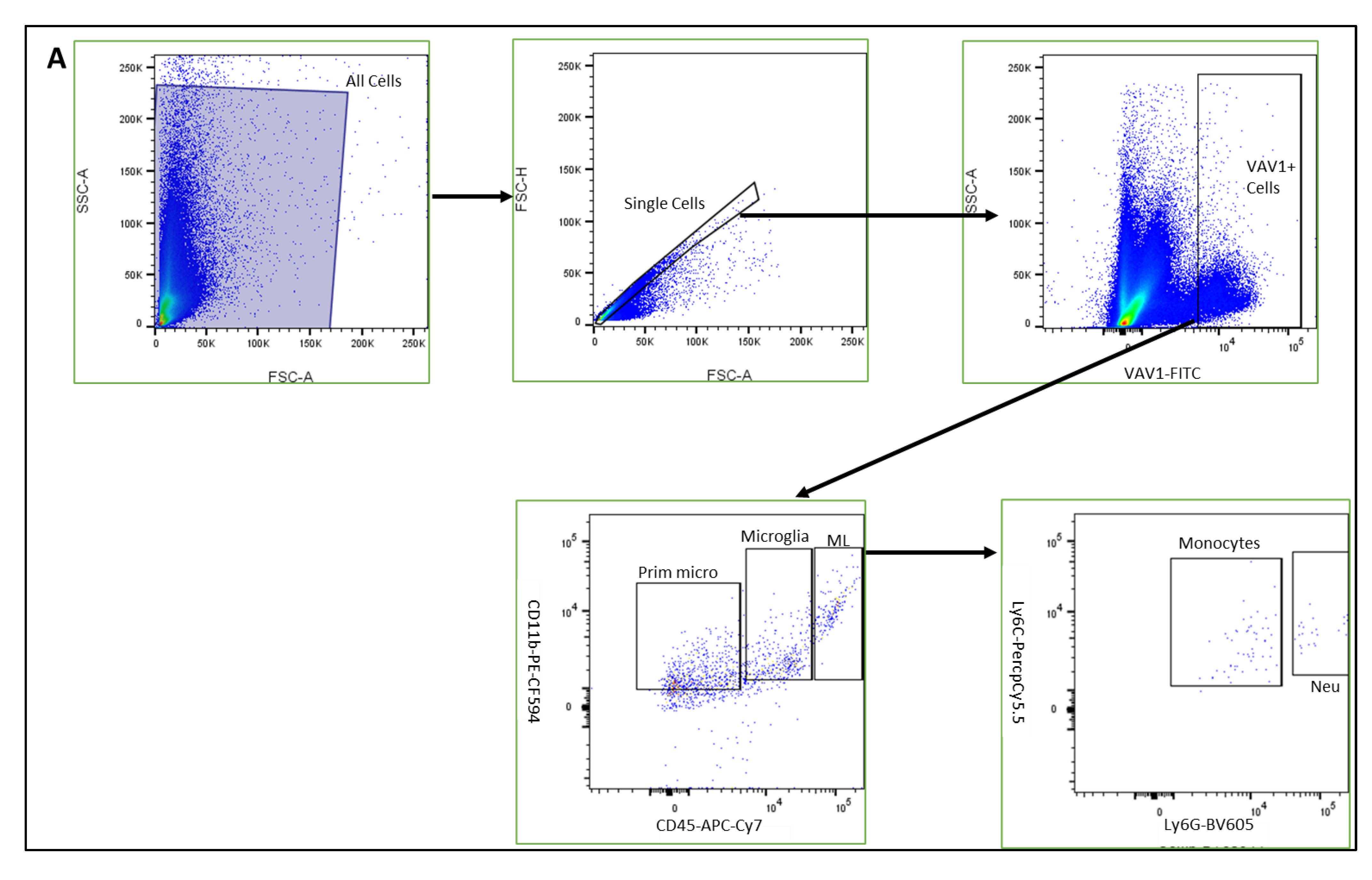 Cells 11 03207 g001a Cells 11 03207 g001a