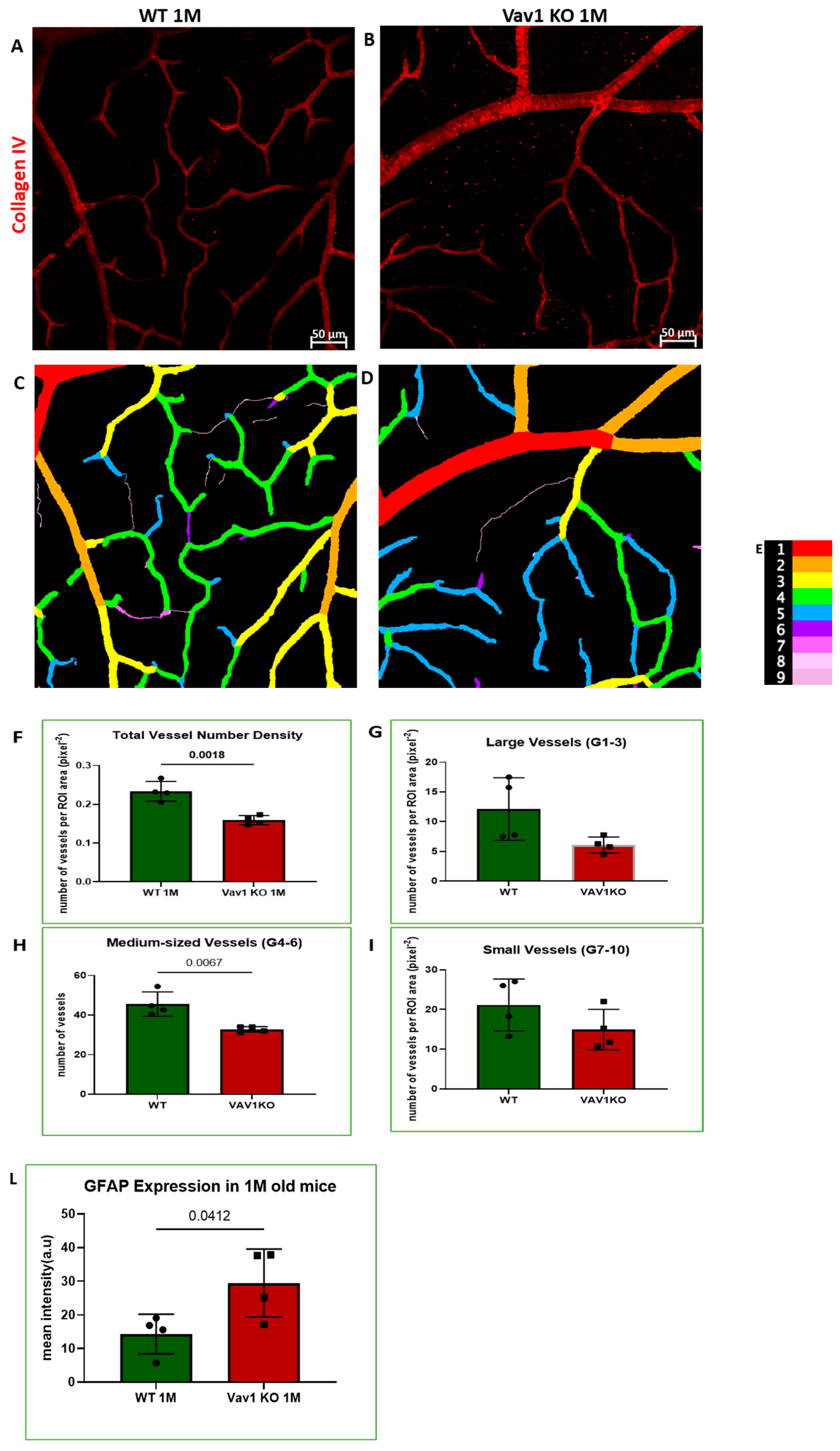 Cells 11 03207 g005a Cells 11 03207 g005a