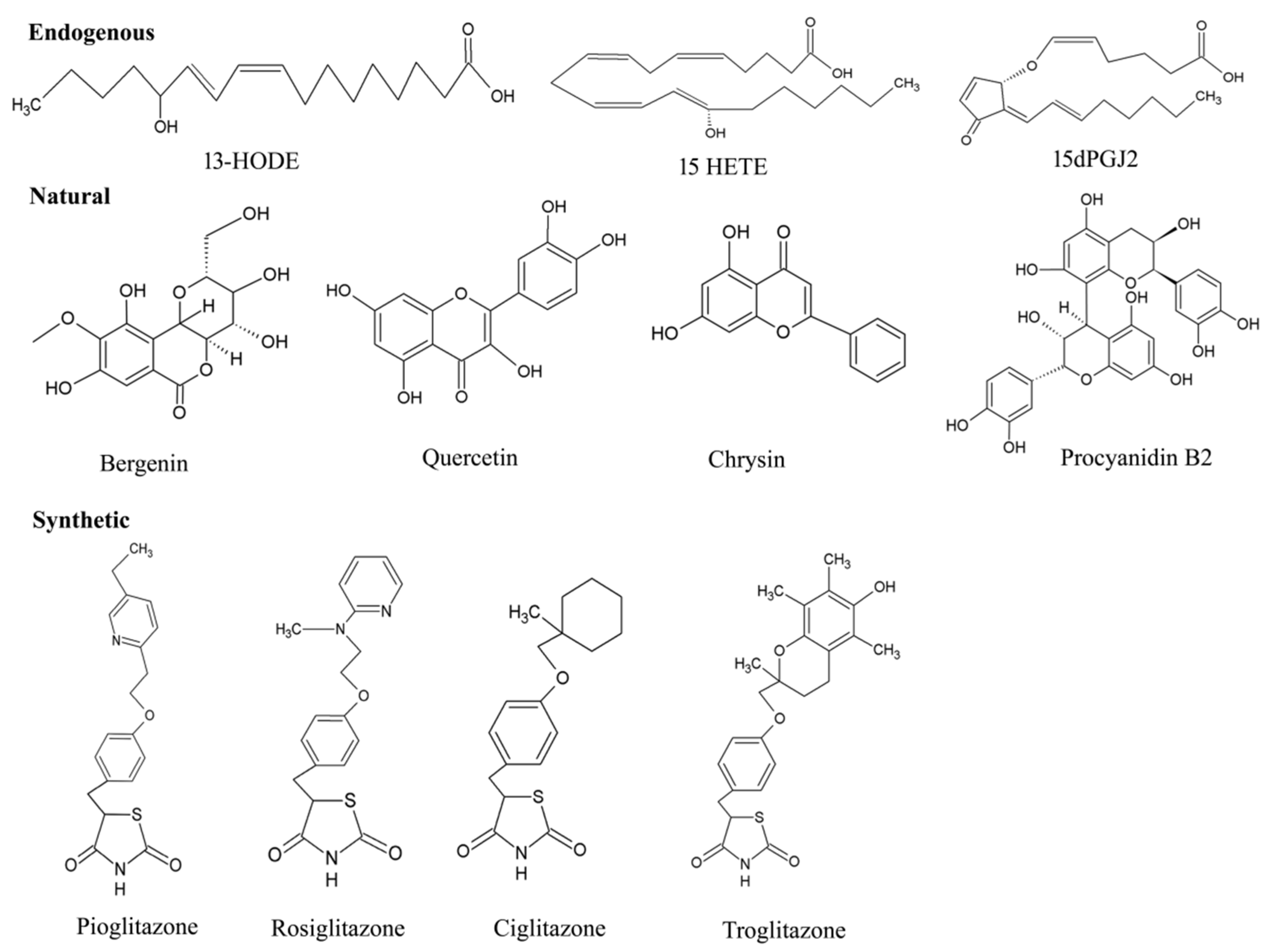 Cells 11 03215 g006 Cells 11 03215 g006