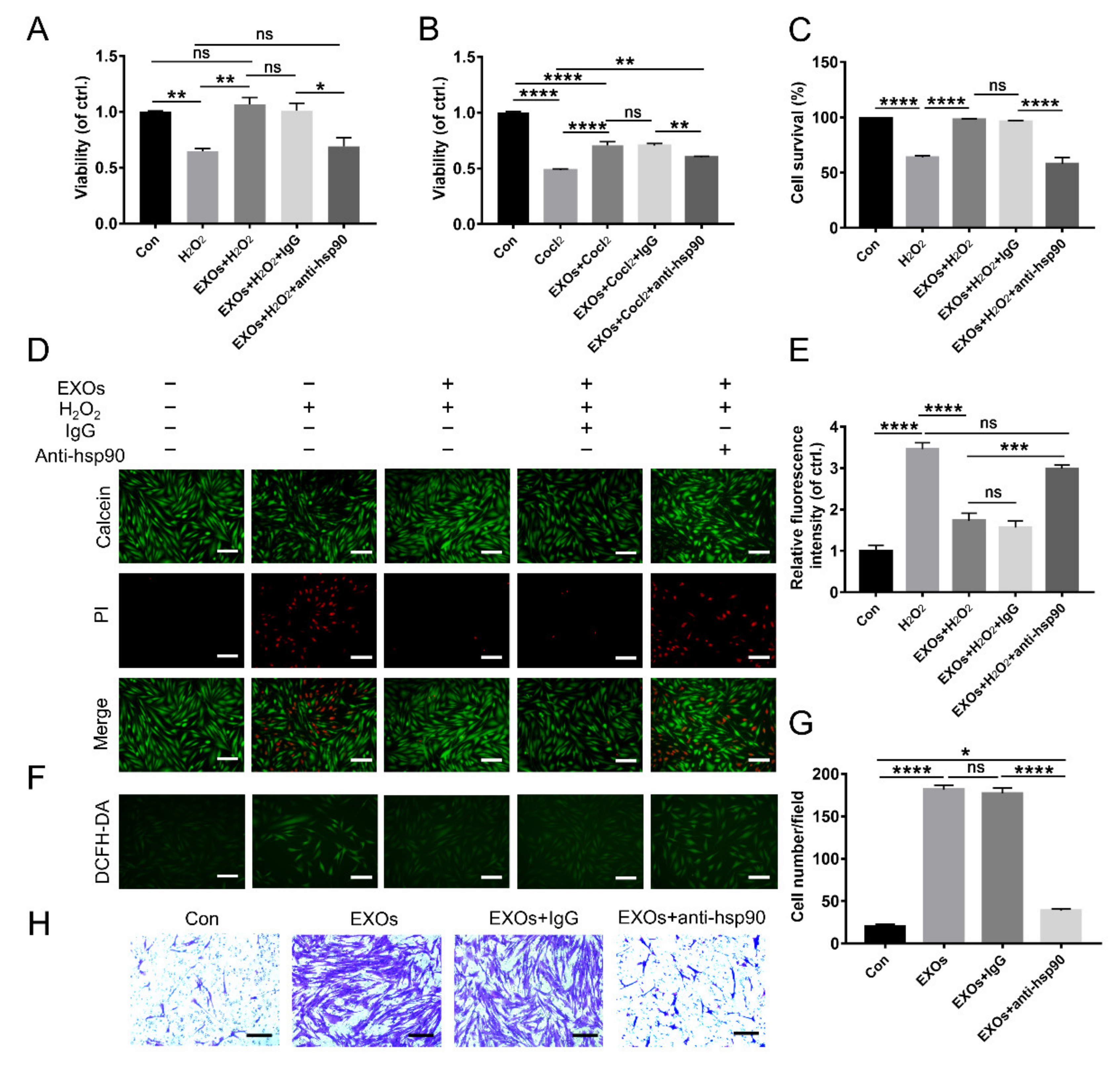 Cells 11 03229 g003 Cells 11 03229 g003