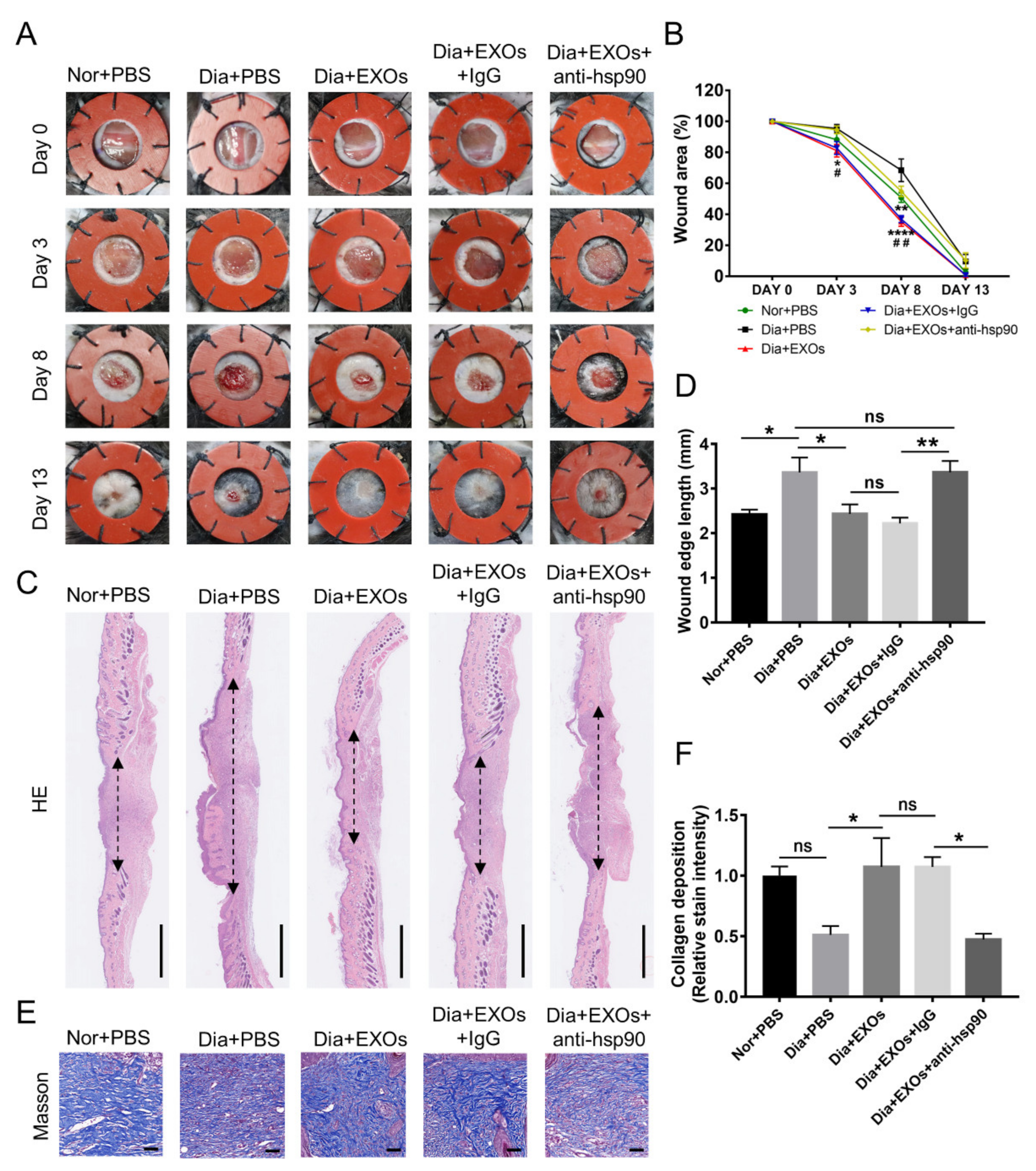 Cells 11 03229 g006 Cells 11 03229 g006