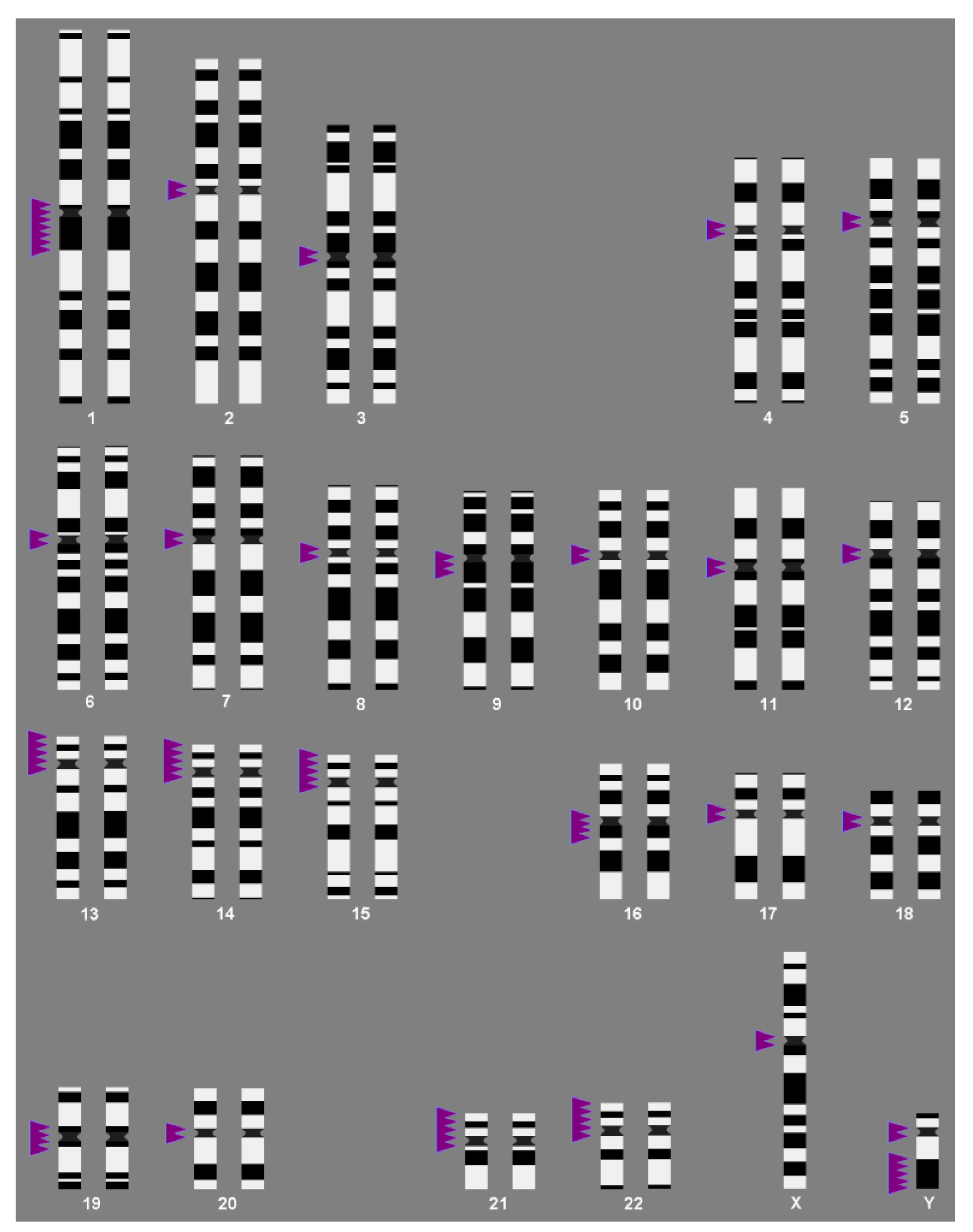 Cells 11 03239 g001 Cells 11 03239 g001