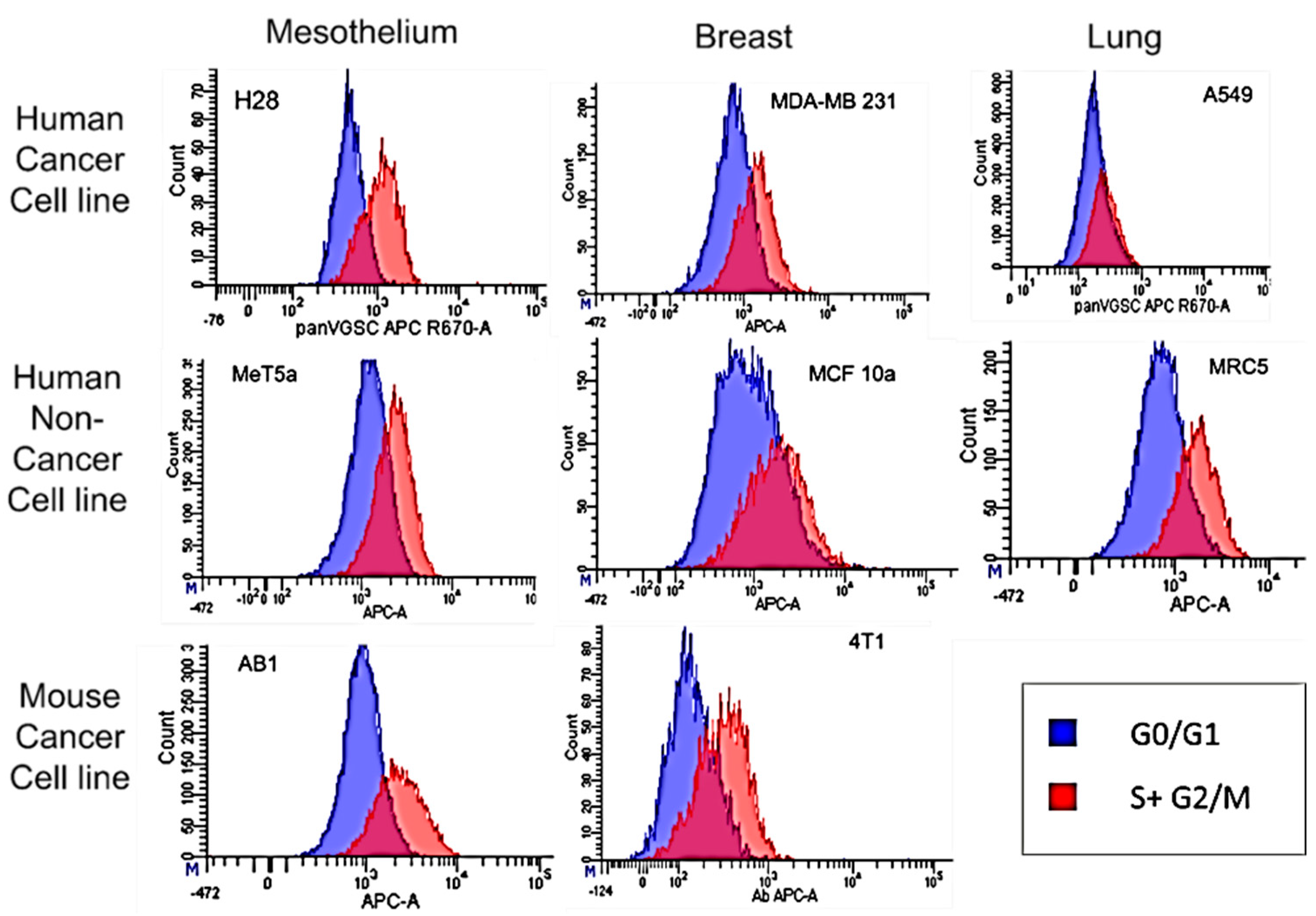 Cells 11 03240 g002 Cells 11 03240 g002