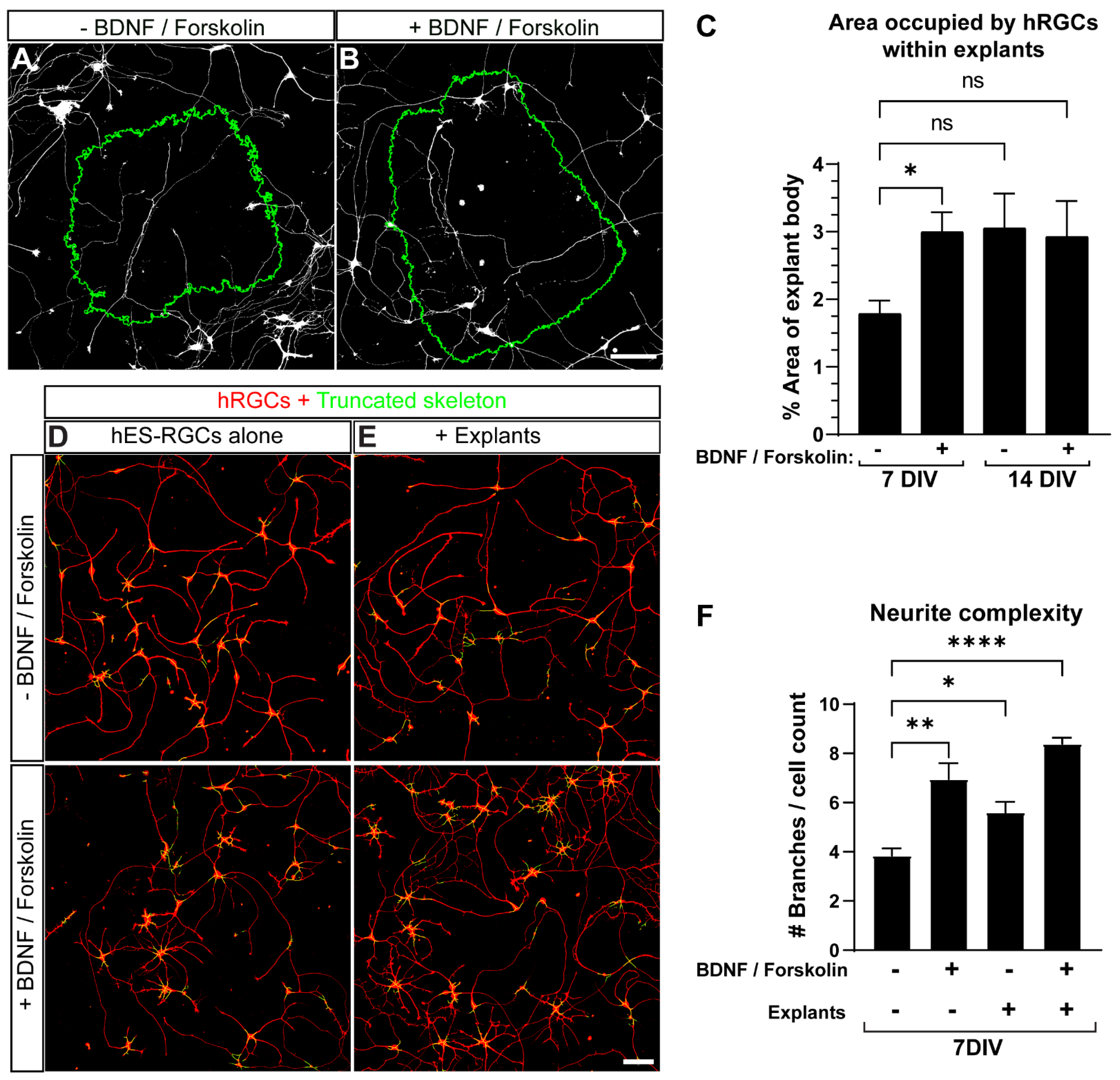 Cells 11 03241 g004 Cells 11 03241 g004