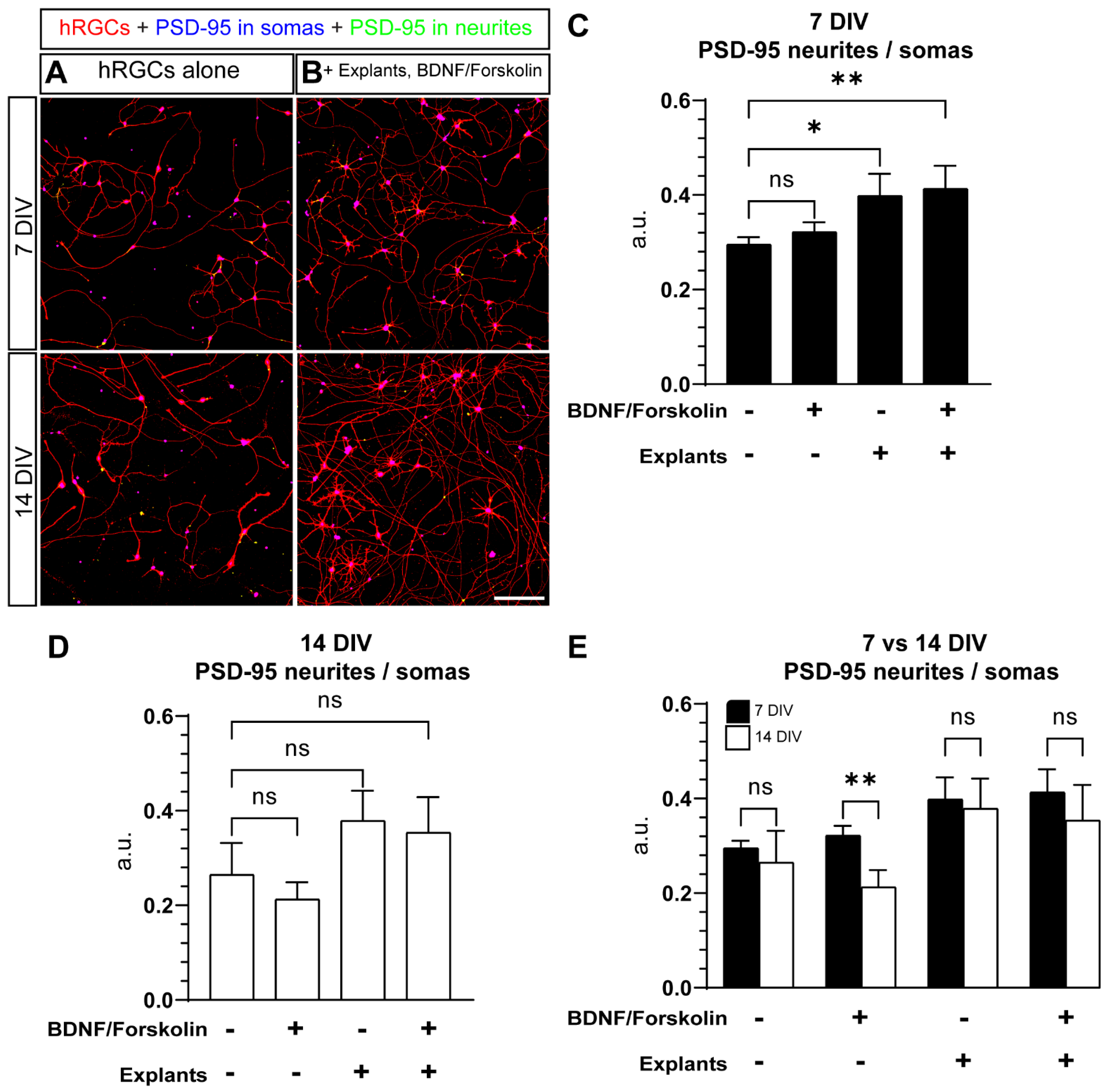 Cells 11 03241 g007 Cells 11 03241 g007