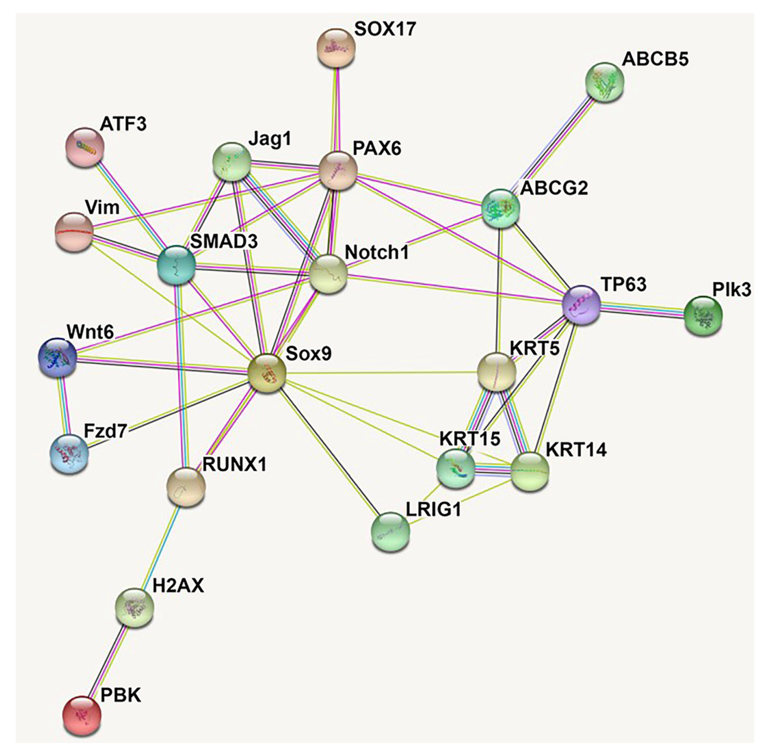 Cells 11 03247 g003 Cells 11 03247 g003