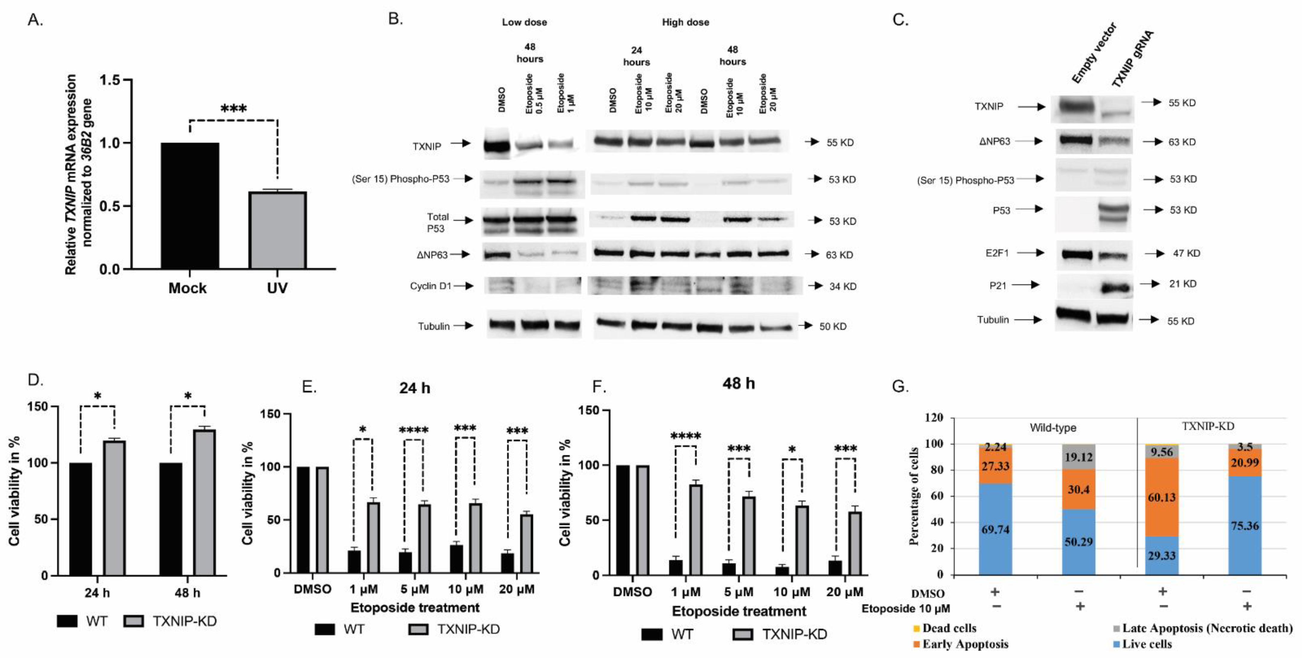 Cells 11 03260 g001 Cells 11 03260 g001