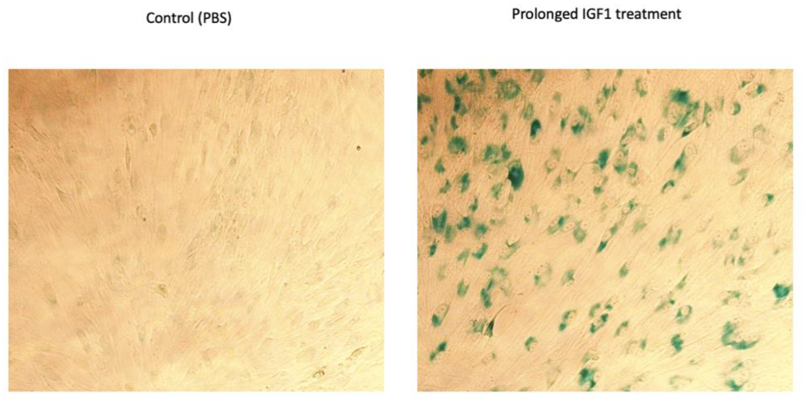 Cells 11 03260 g005 Cells 11 03260 g005