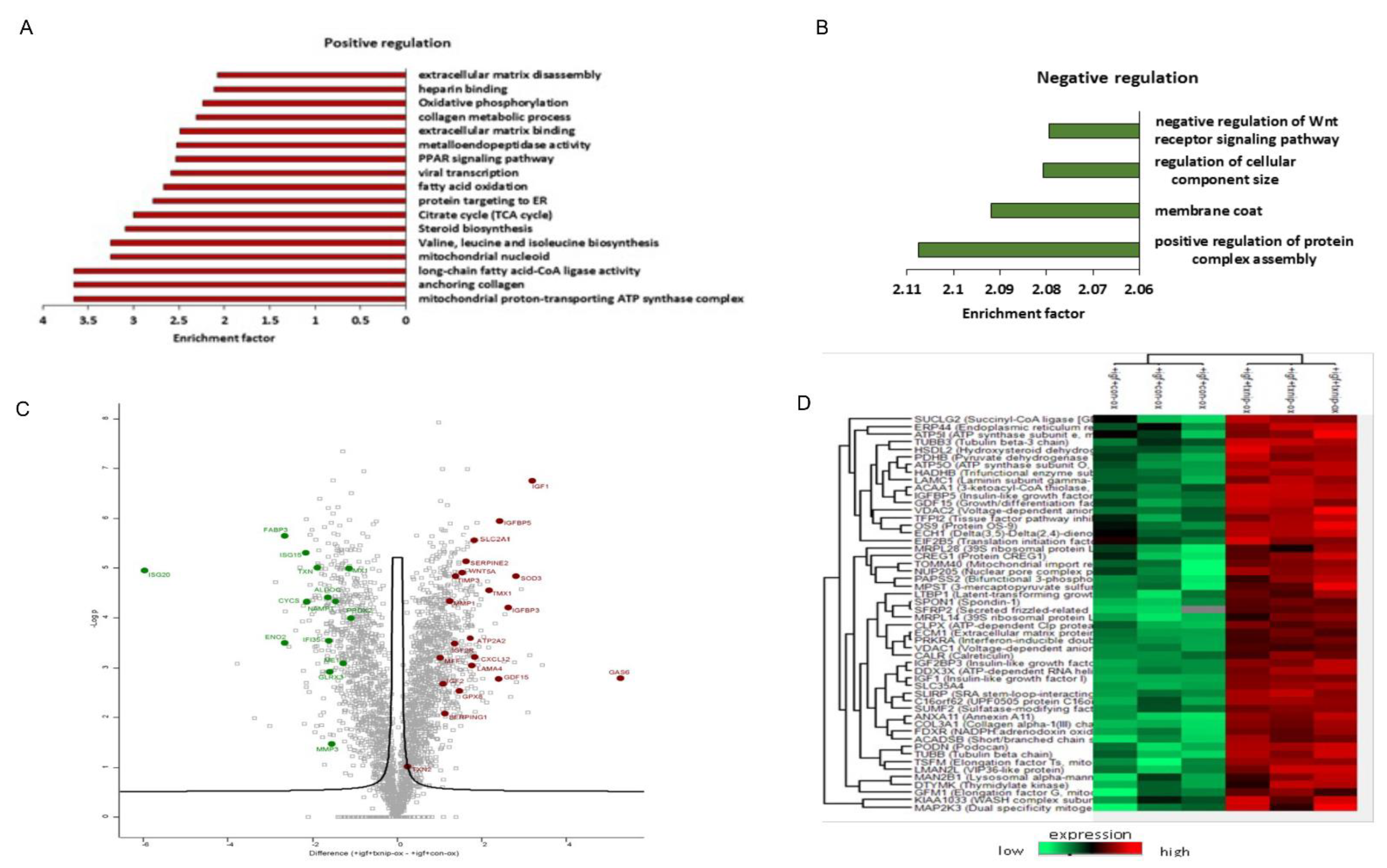 Cells 11 03260 g007 Cells 11 03260 g007