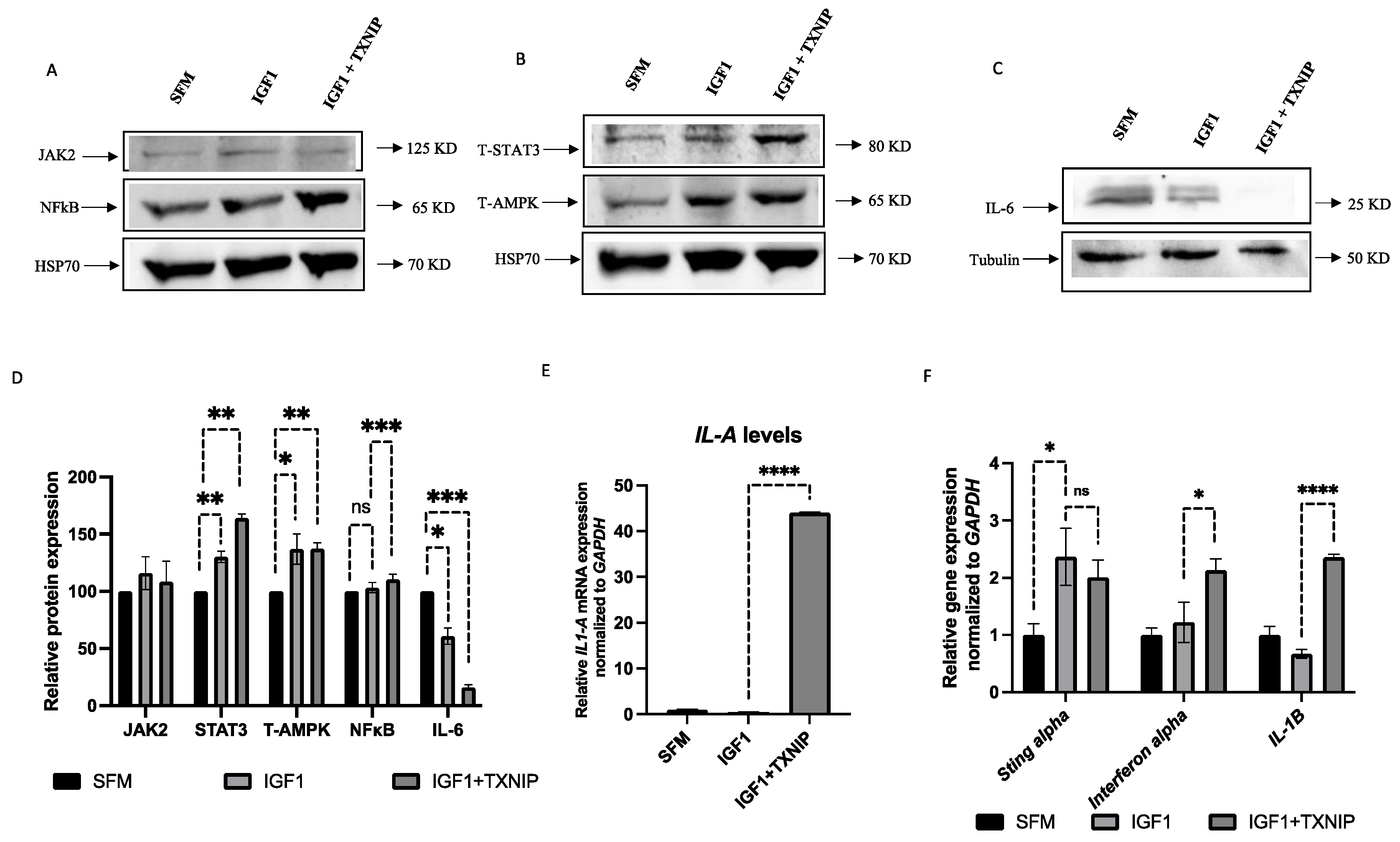 Cells 11 03260 g008 Cells 11 03260 g008