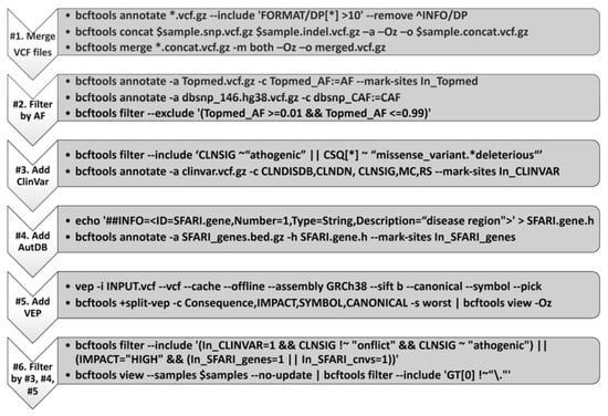 Cells 11 03276 g001 550