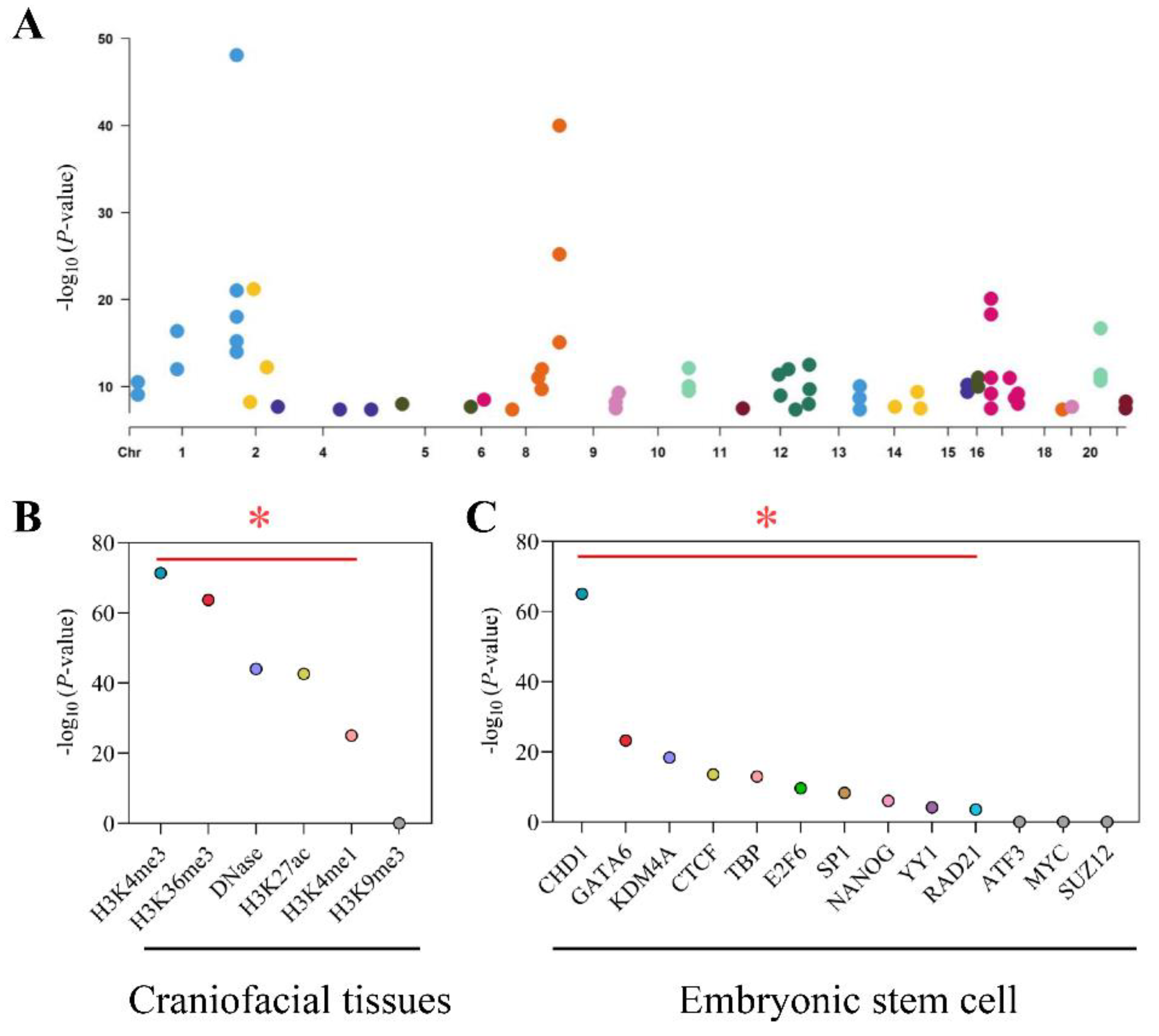 Cells 11 03281 g002 Cells 11 03281 g002