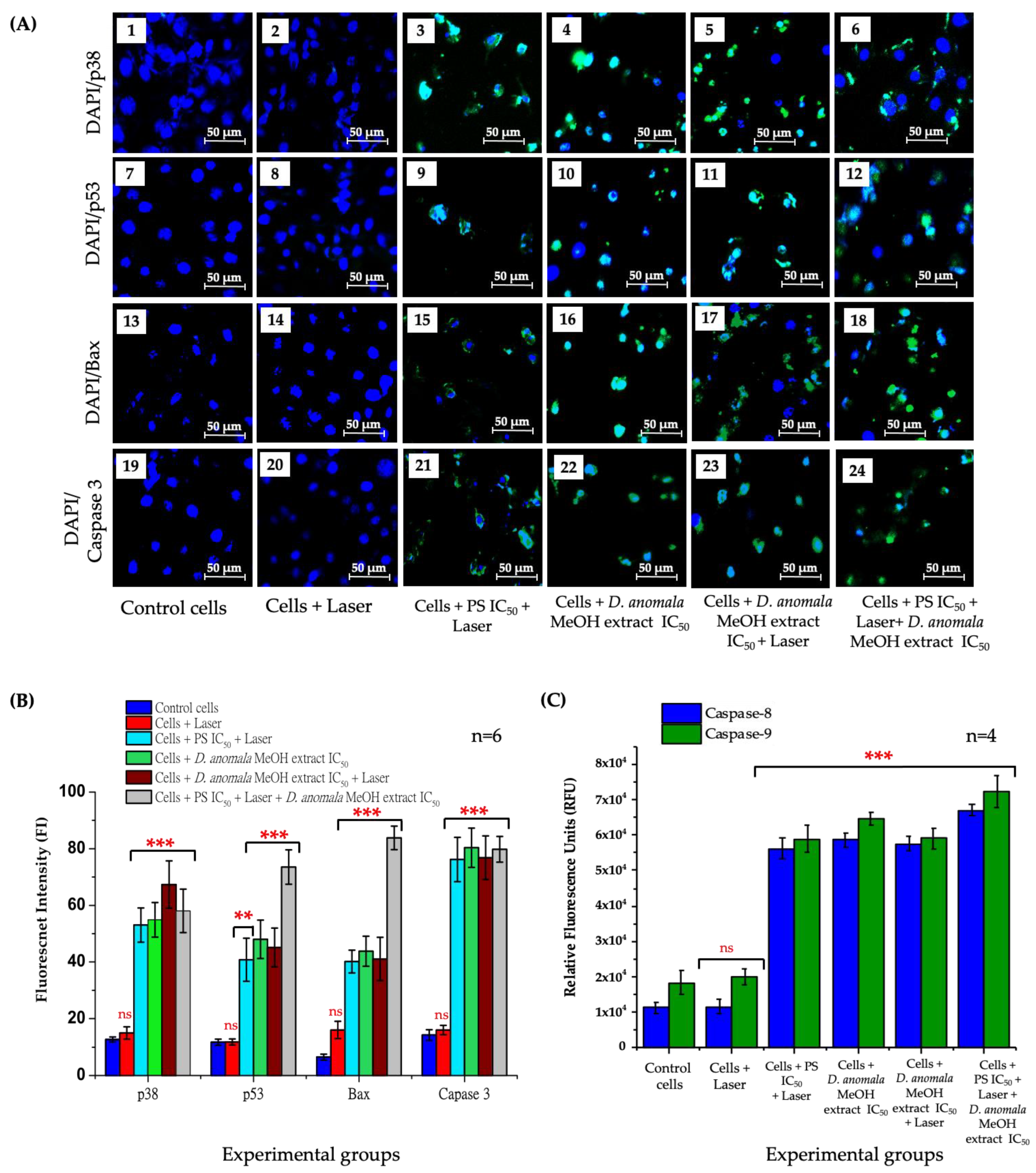 Cells 11 03288 g009 Cells 11 03288 g009