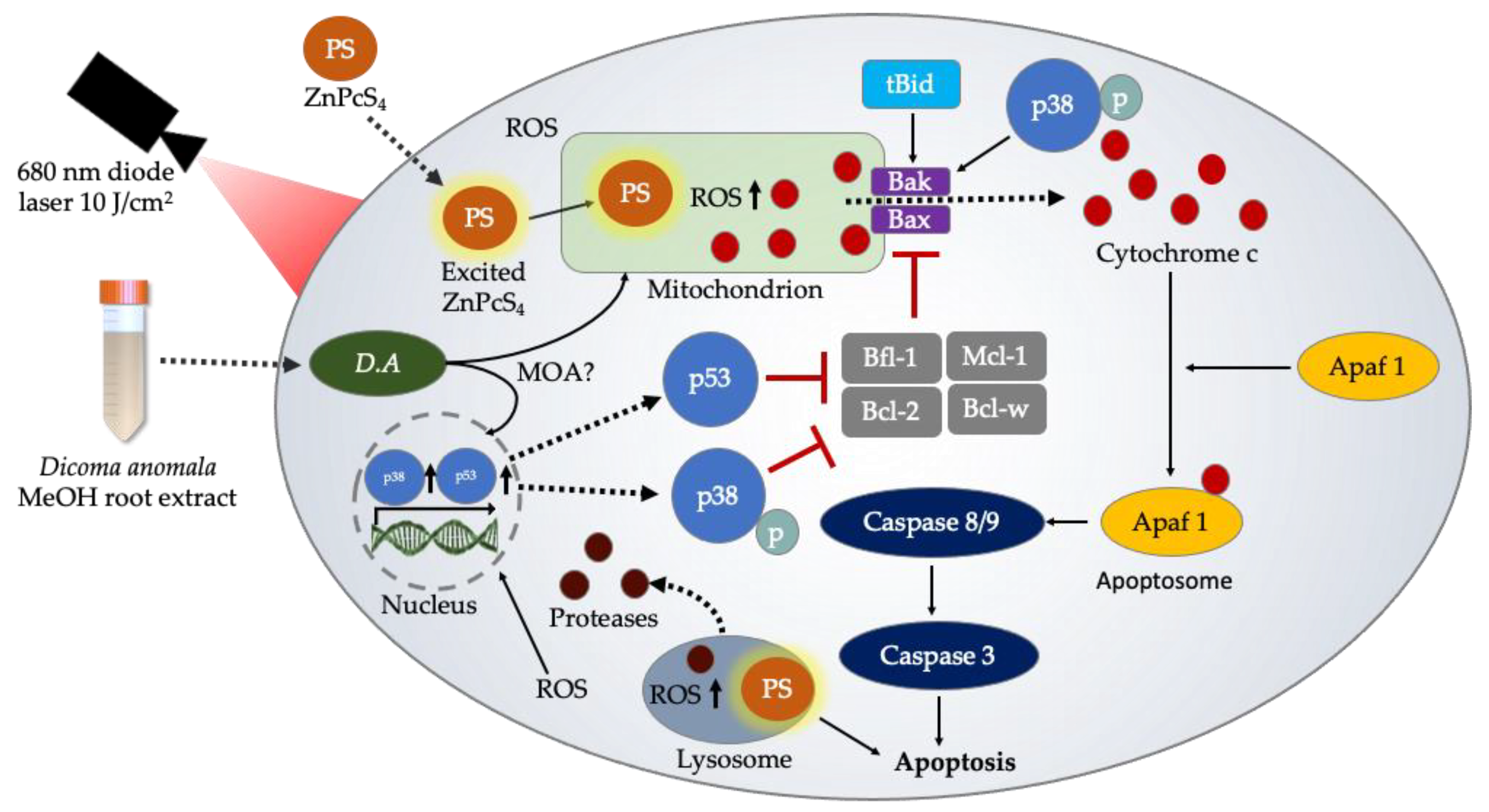 Cells 11 03288 g010 Cells 11 03288 g010