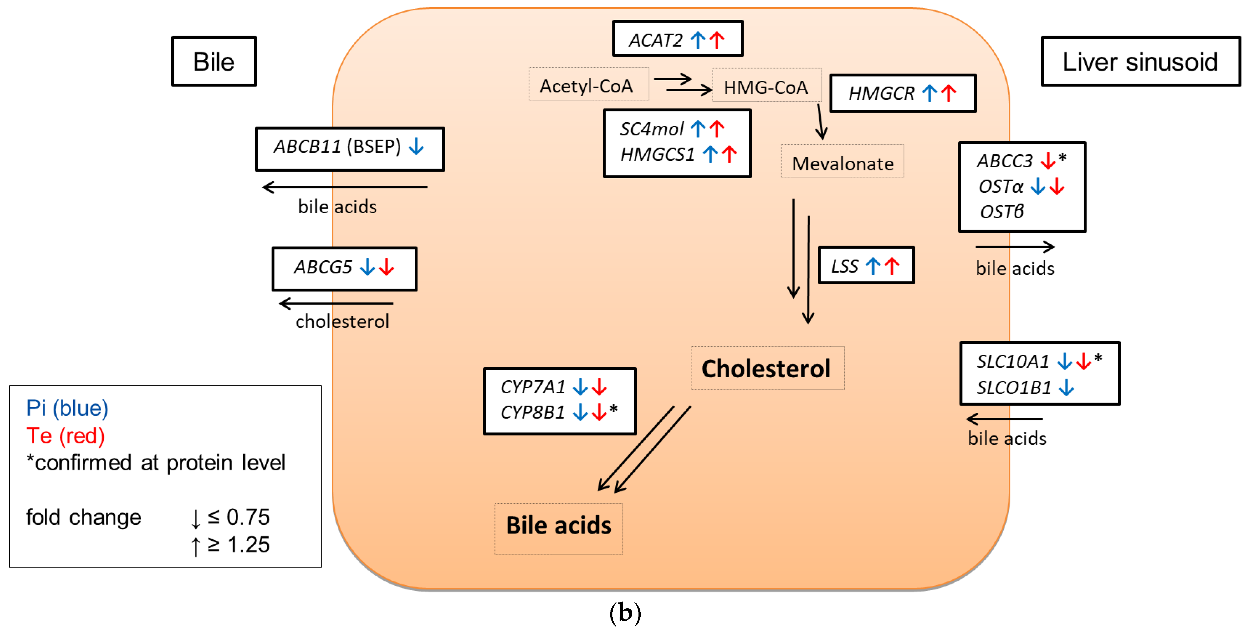 Cells 11 03293 g004c