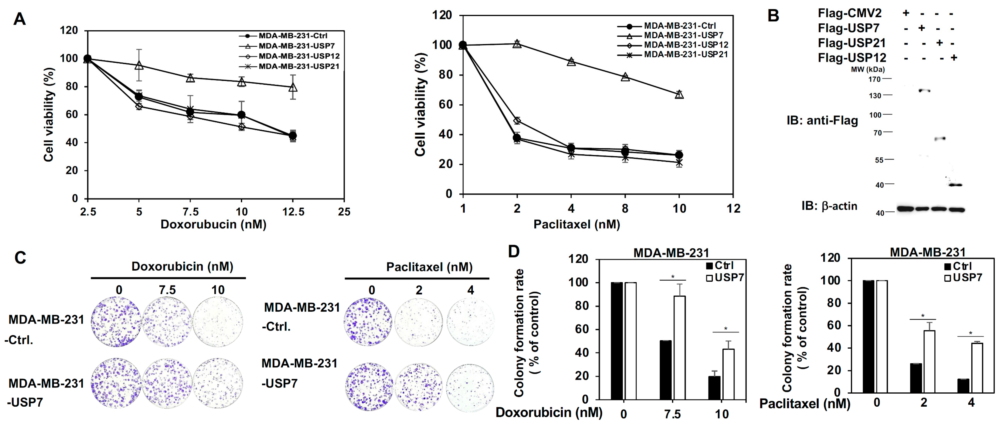Cells 11 03294 g001a
