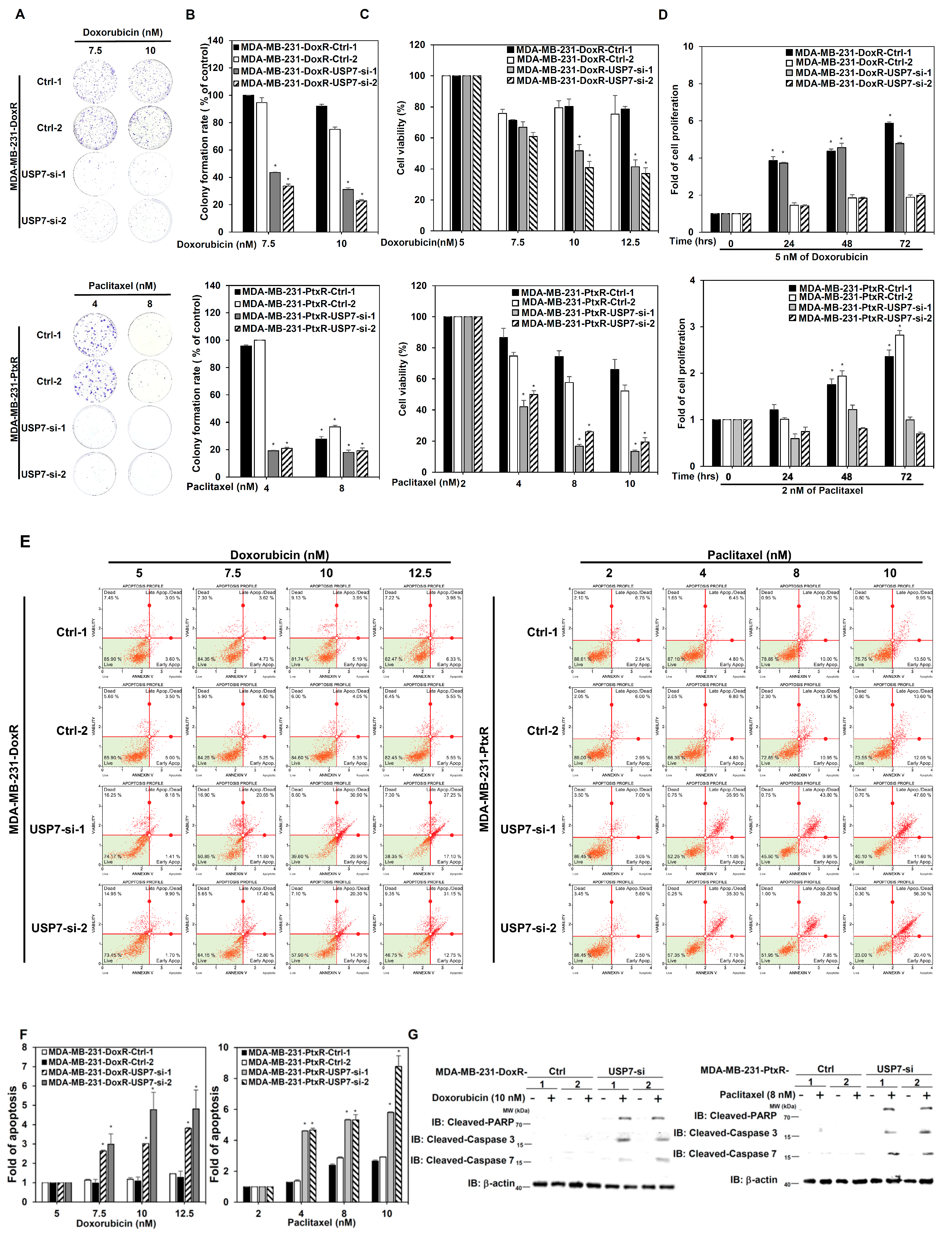 Cells 11 03294 g003a