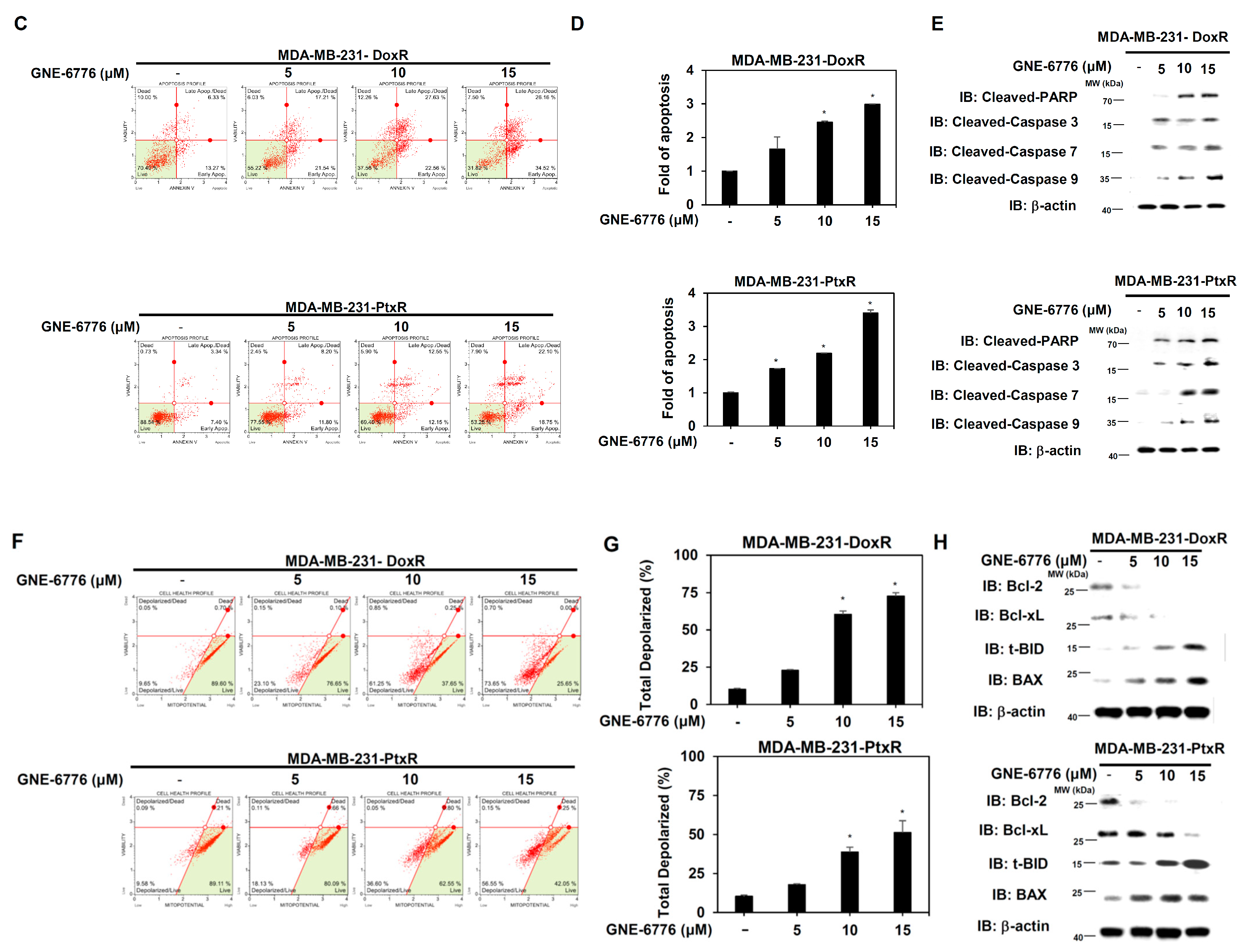 Cells 11 03294 g006b