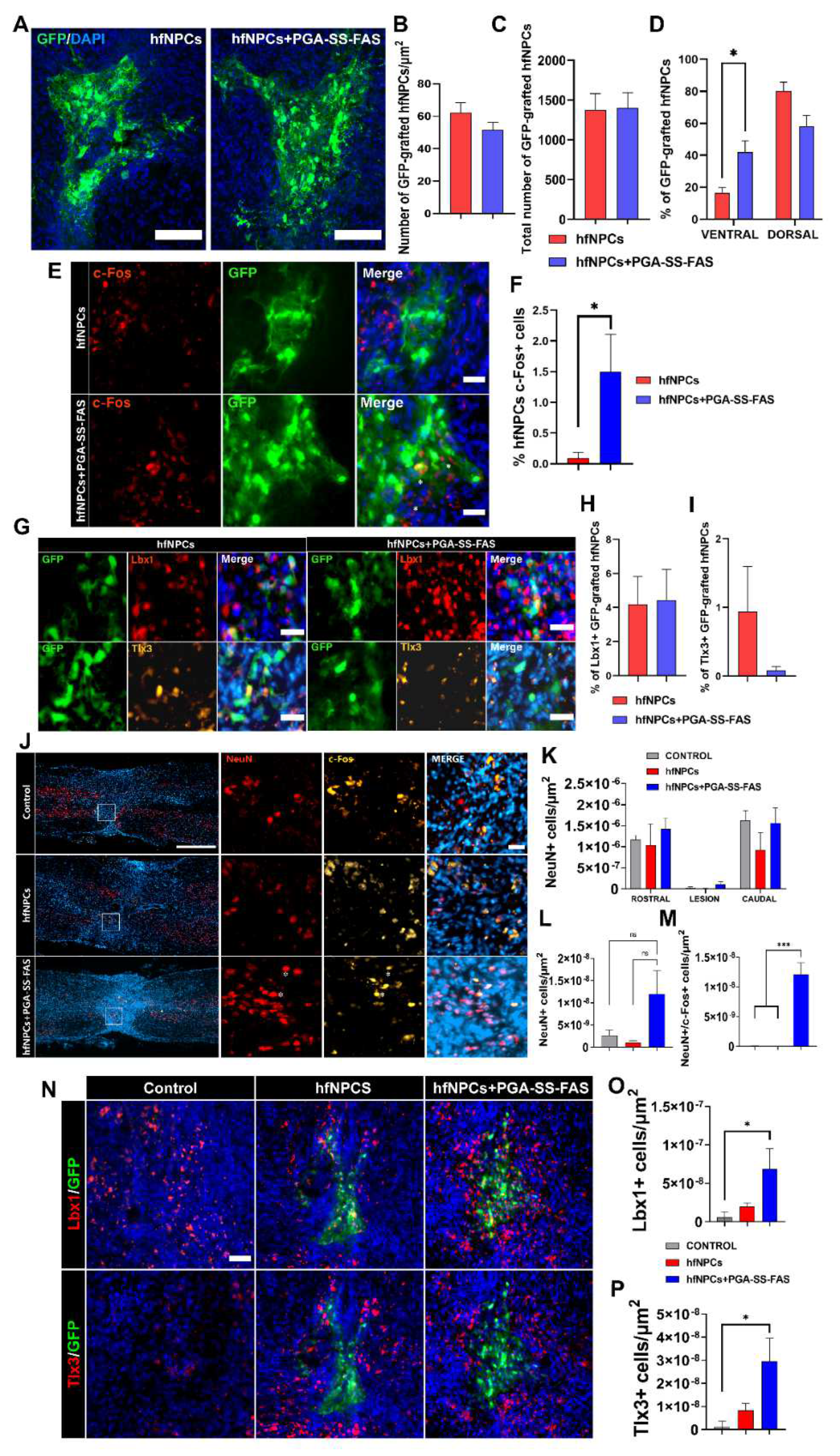 Cells 11 03304 g004