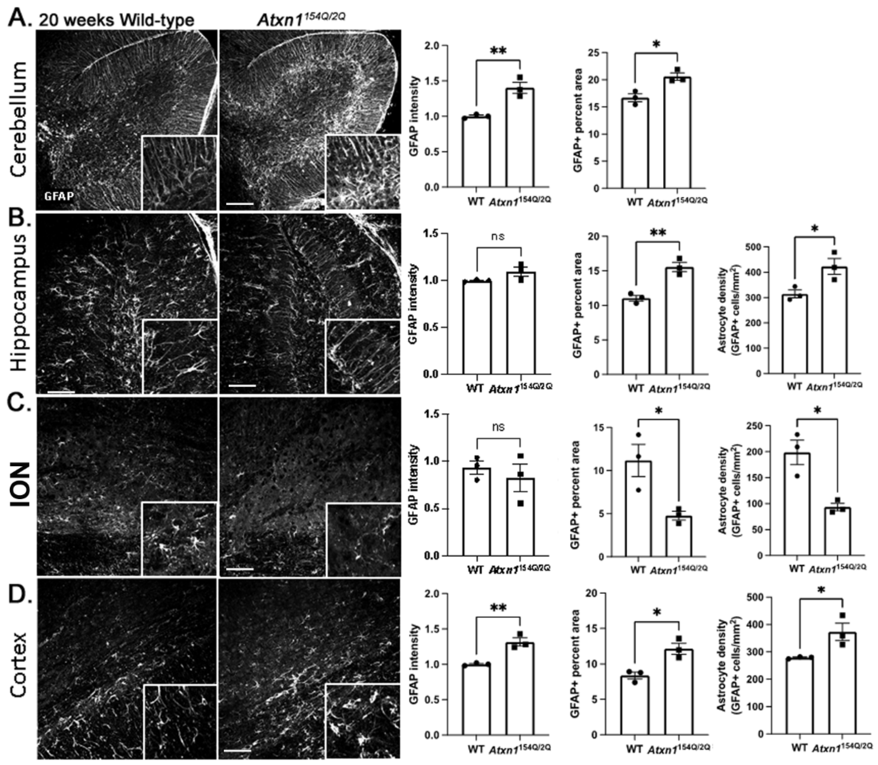 Cells 11 03323 g004 Cells 11 03323 g004
