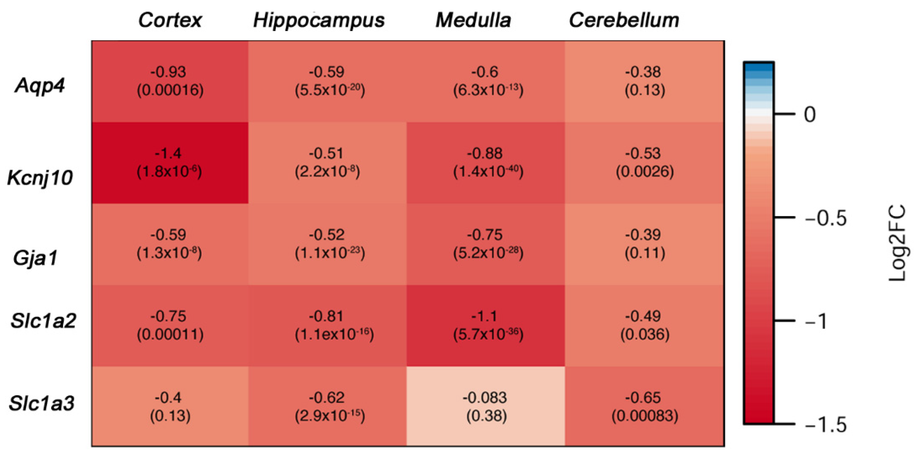 Cells 11 03323 g005 Cells 11 03323 g005