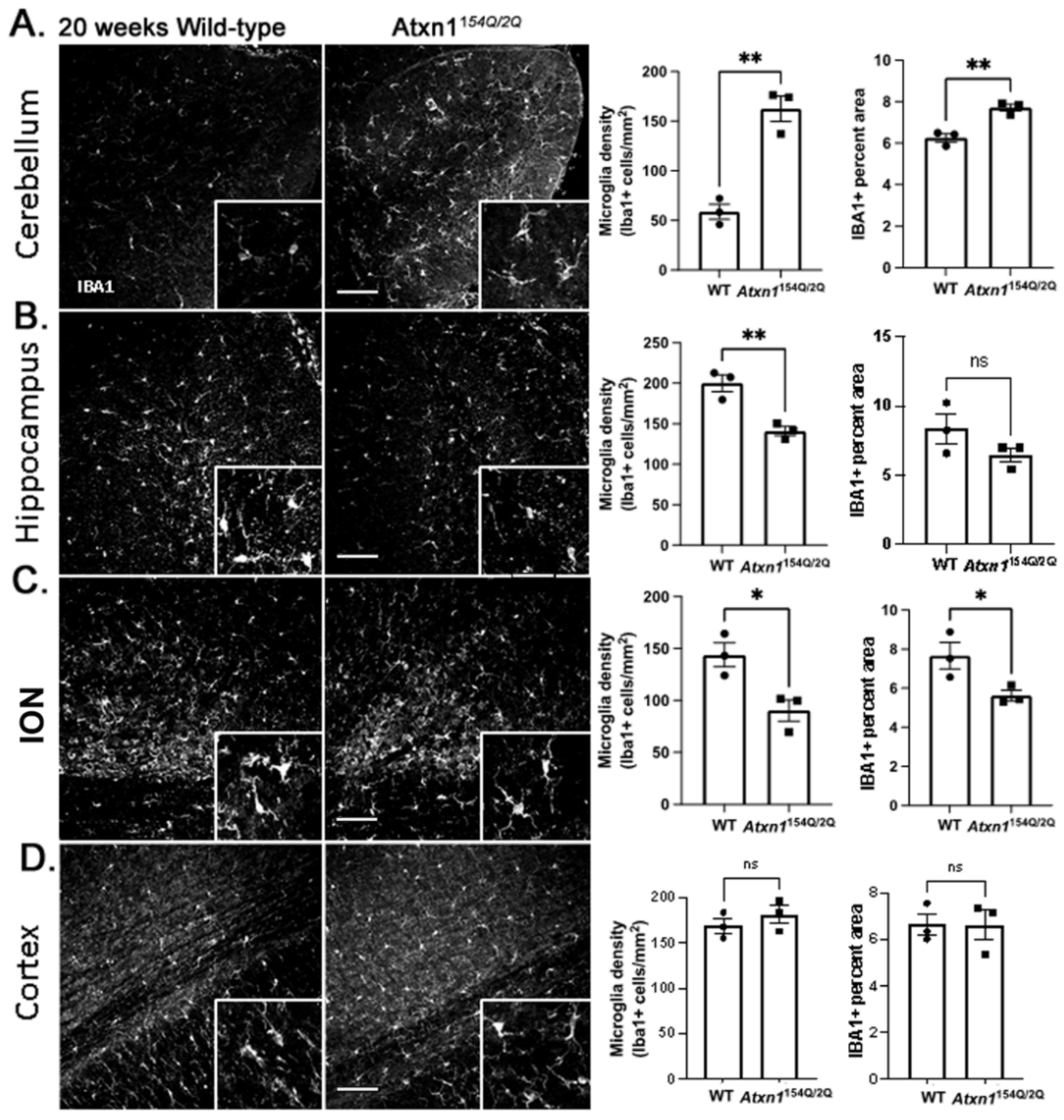 Cells 11 03323 g006 Cells 11 03323 g006