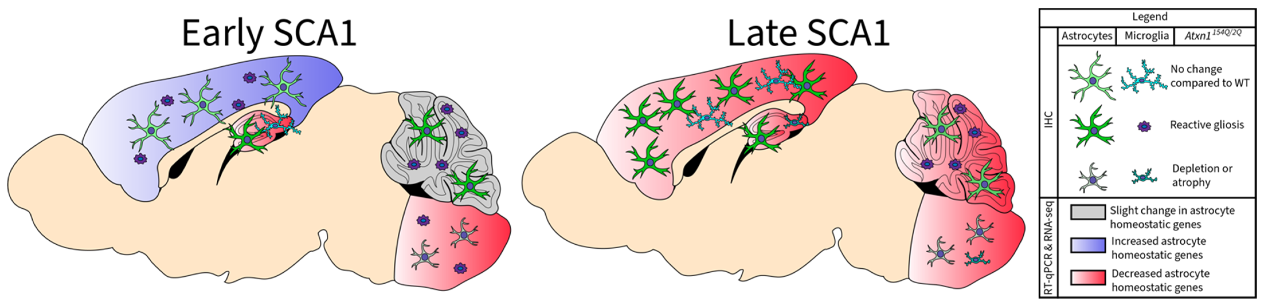 Cells 11 03323 g007 Cells 11 03323 g007