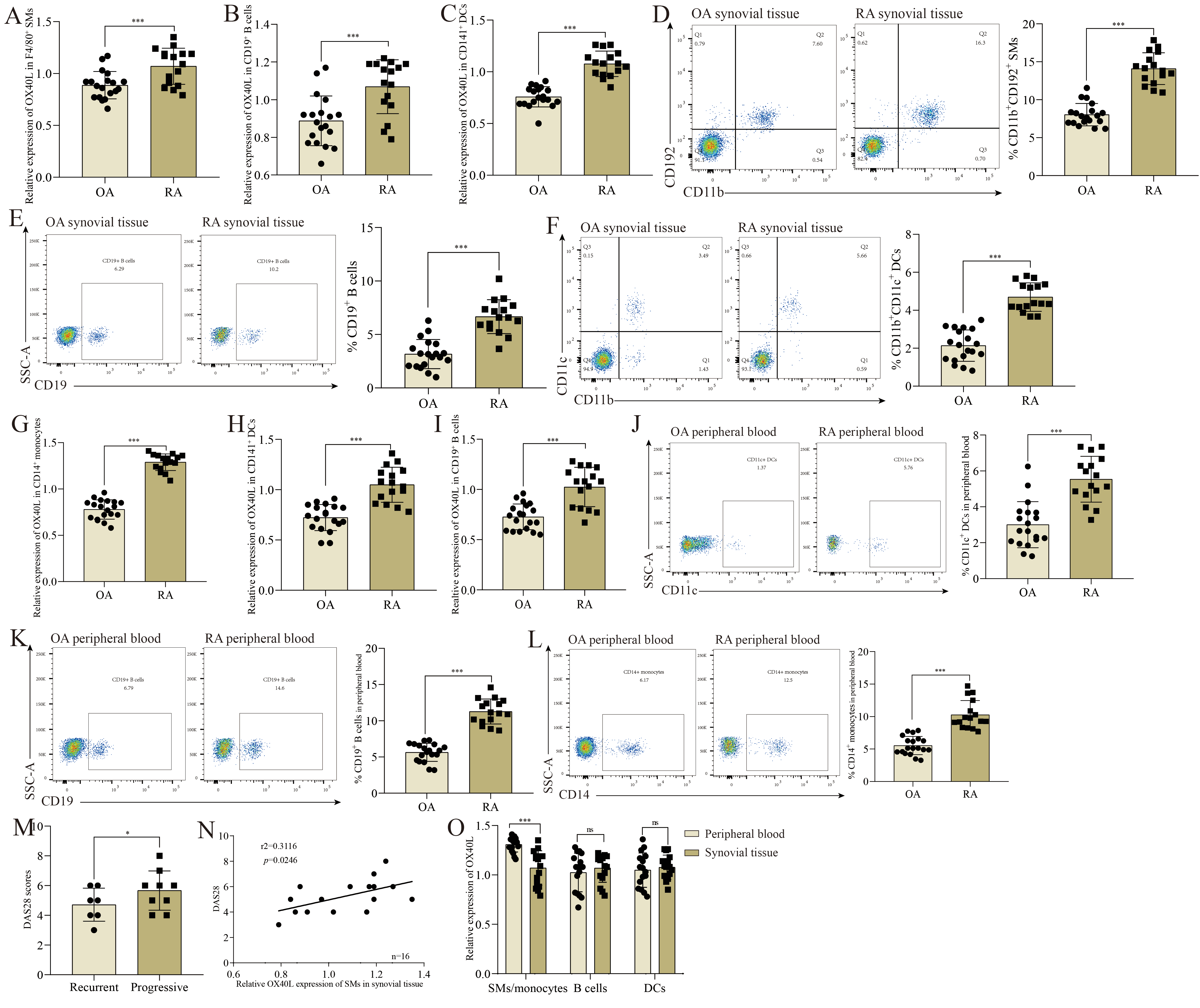 Cells 11 03326 g001 Cells 11 03326 g001