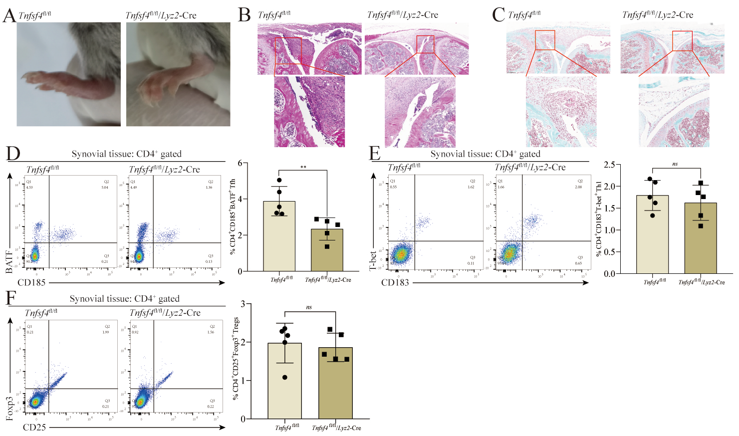 Cells 11 03326 g004 Cells 11 03326 g004
