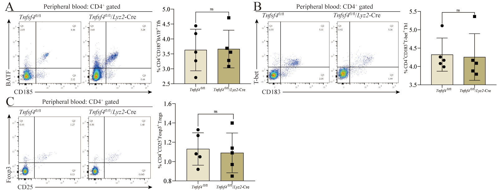 Cells 11 03326 g005 Cells 11 03326 g005