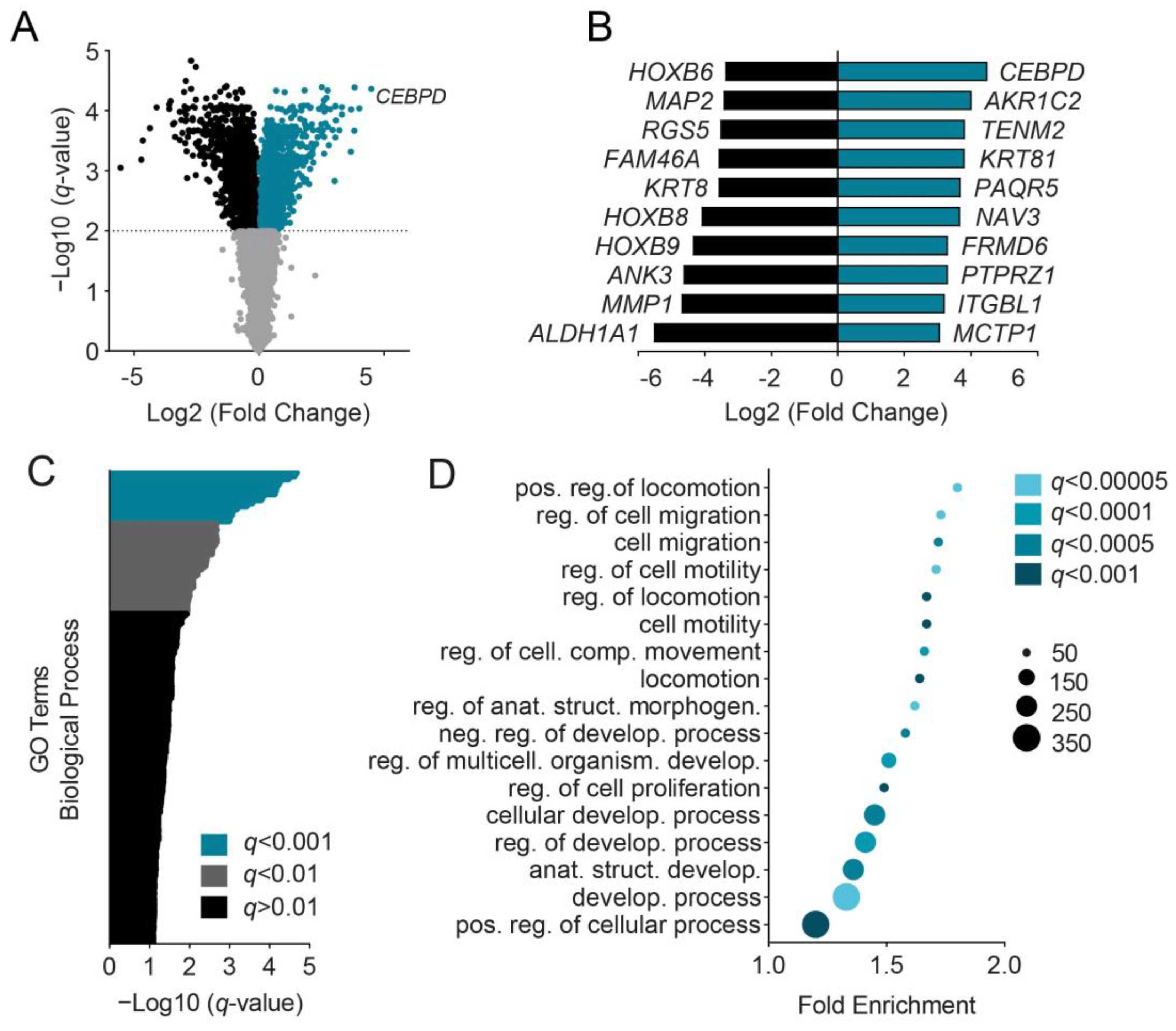 Cells 11 03334 g001 Cells 11 03334 g001