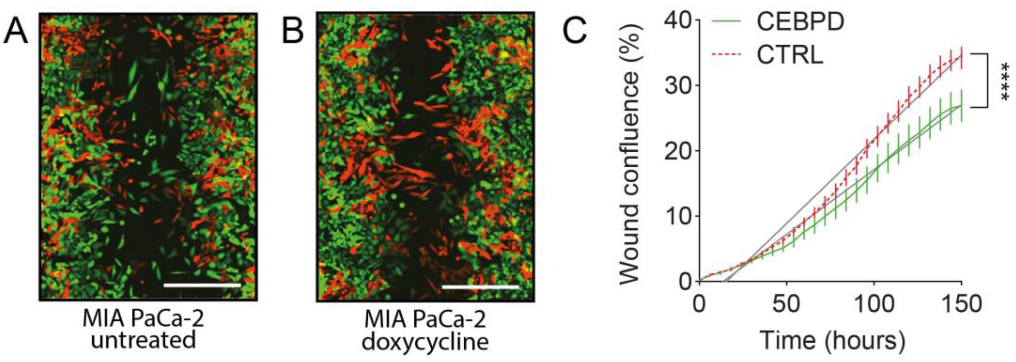 Cells 11 03334 g002 Cells 11 03334 g002