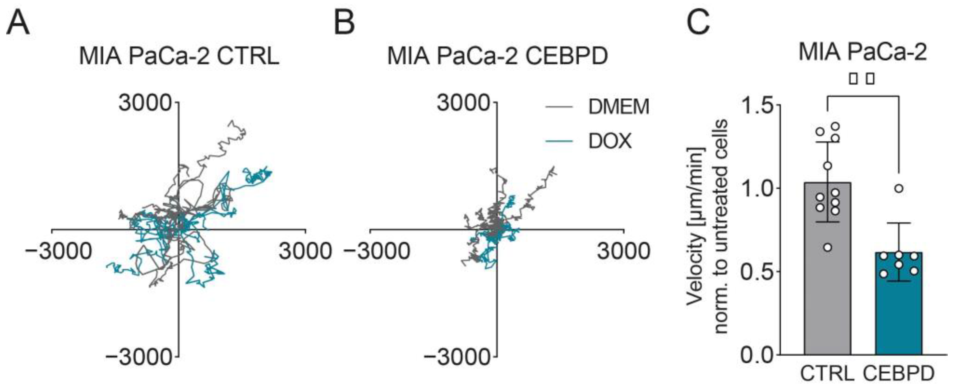 Cells 11 03334 g003 Cells 11 03334 g003