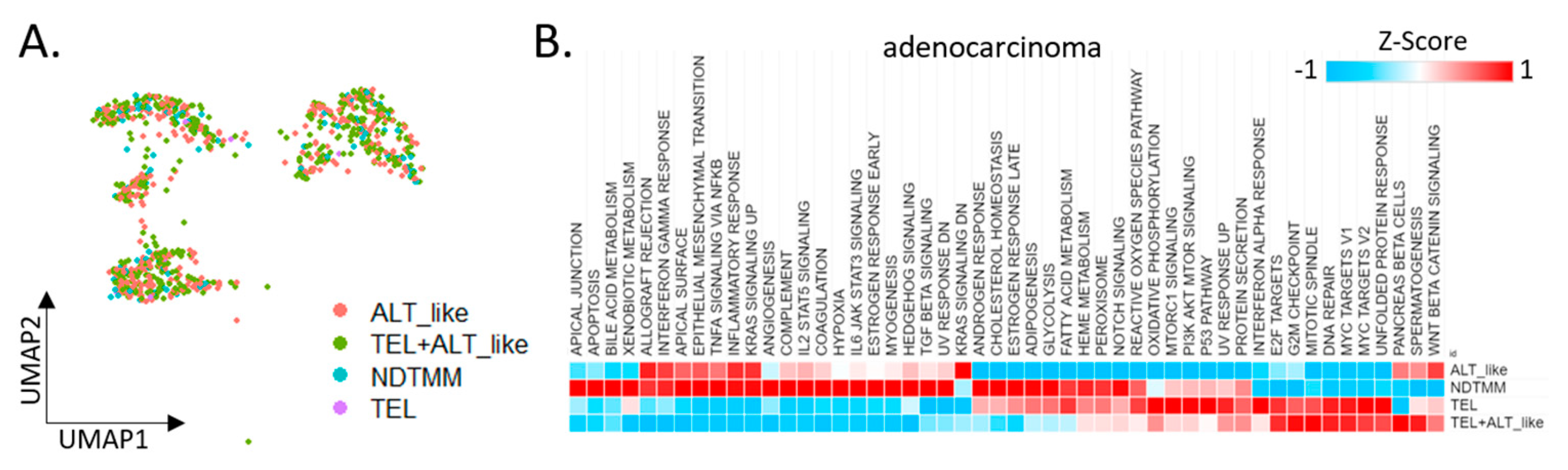 Cells 11 03342 g002a