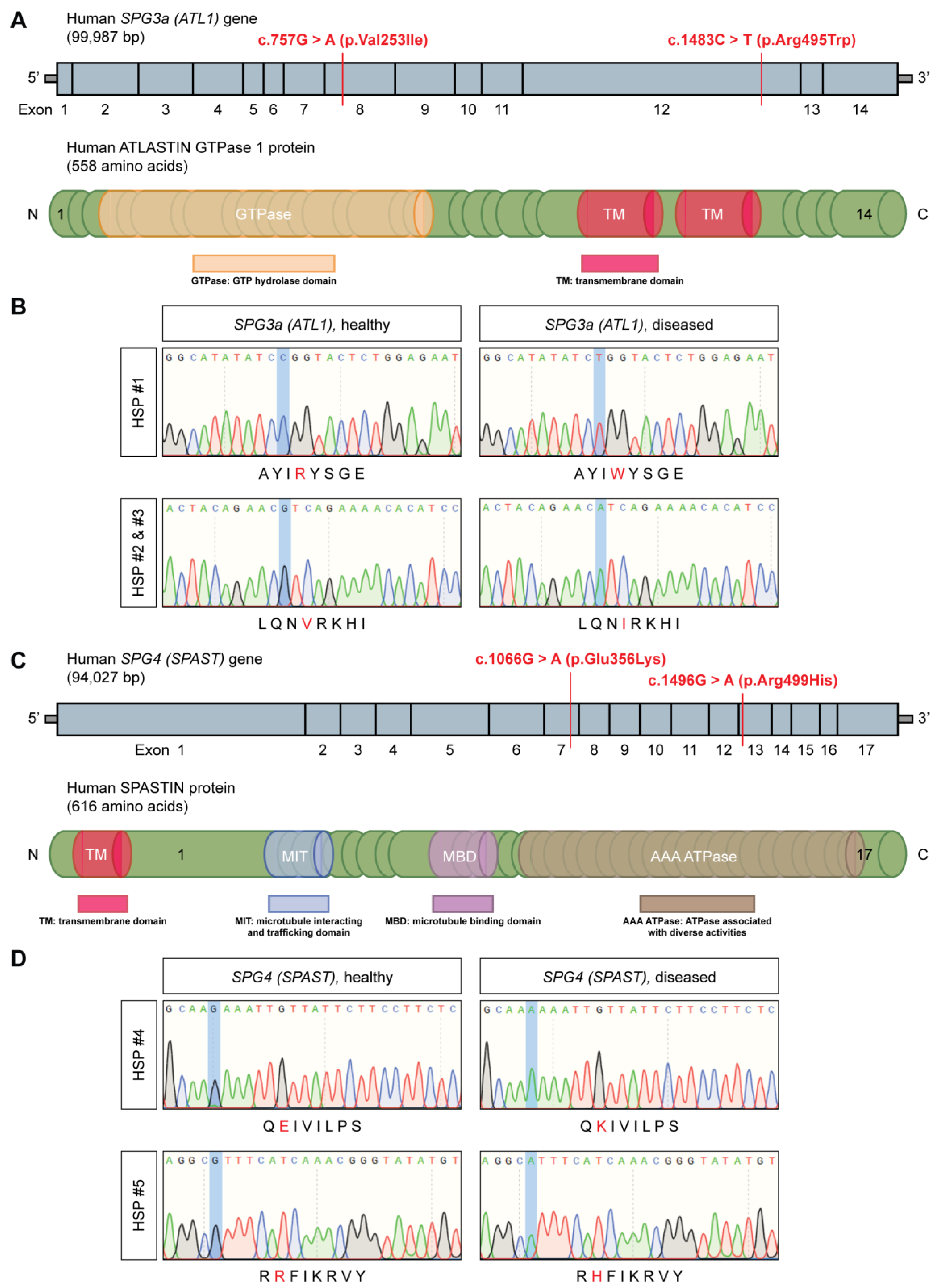 Cells 11 03351 g001 Cells 11 03351 g001