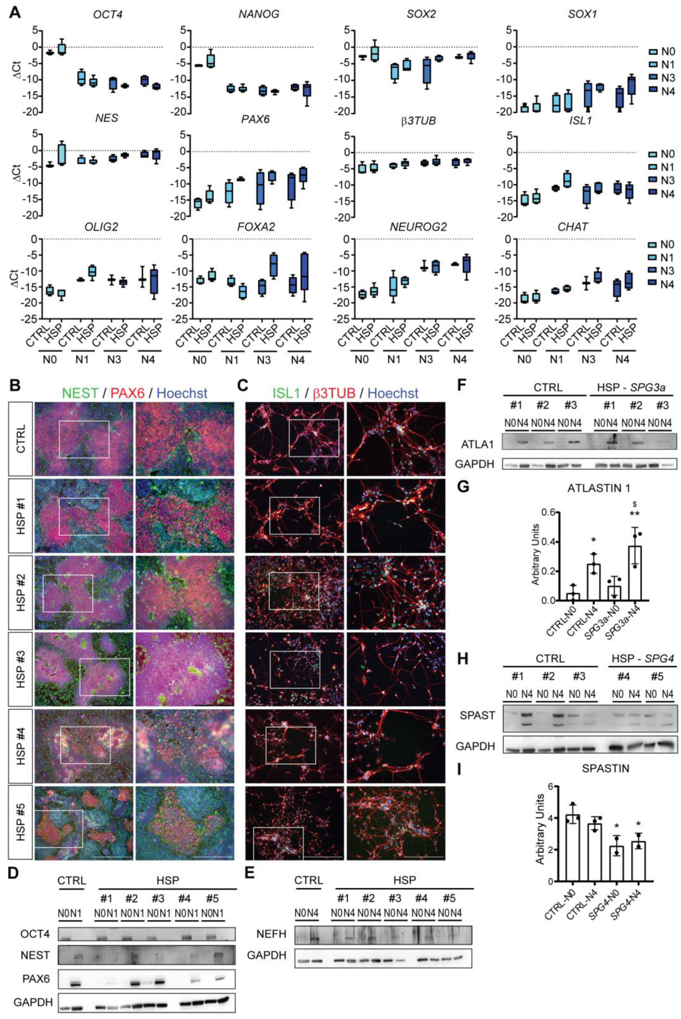 Cells 11 03351 g004 Cells 11 03351 g004