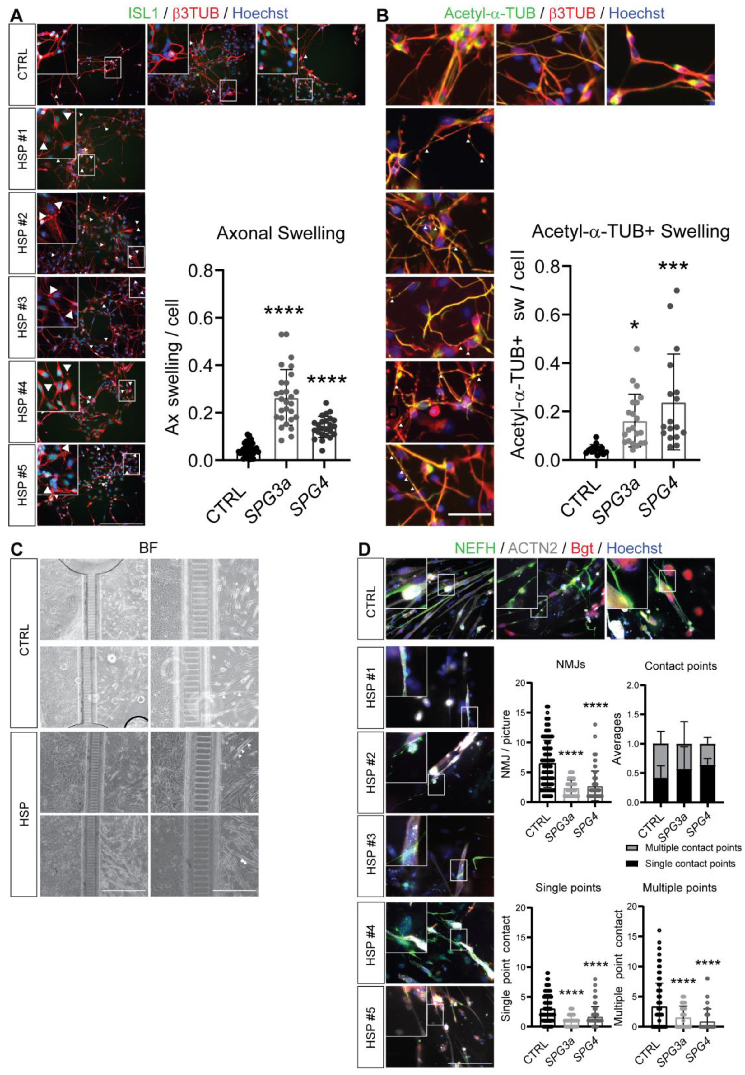 Cells 11 03351 g005 Cells 11 03351 g005