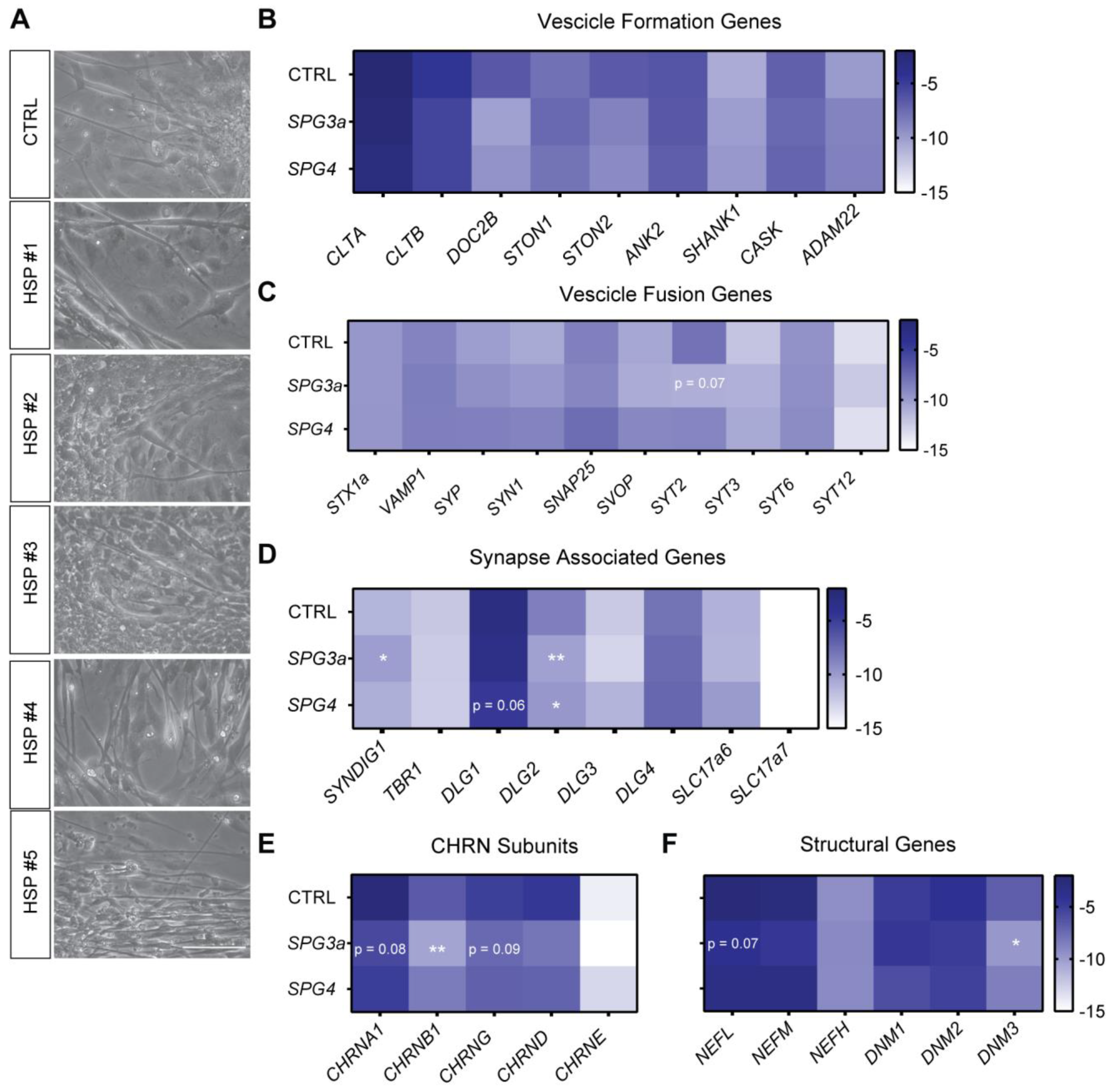 Cells 11 03351 g006 Cells 11 03351 g006