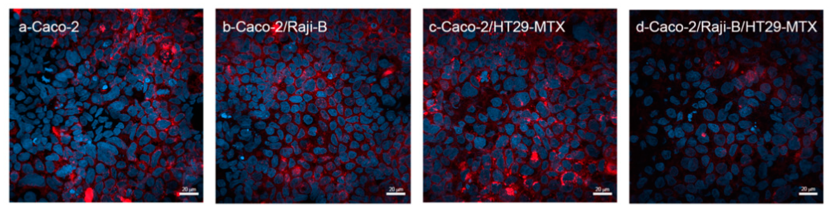 Cells 11 03357 g002 Cells 11 03357 g002
