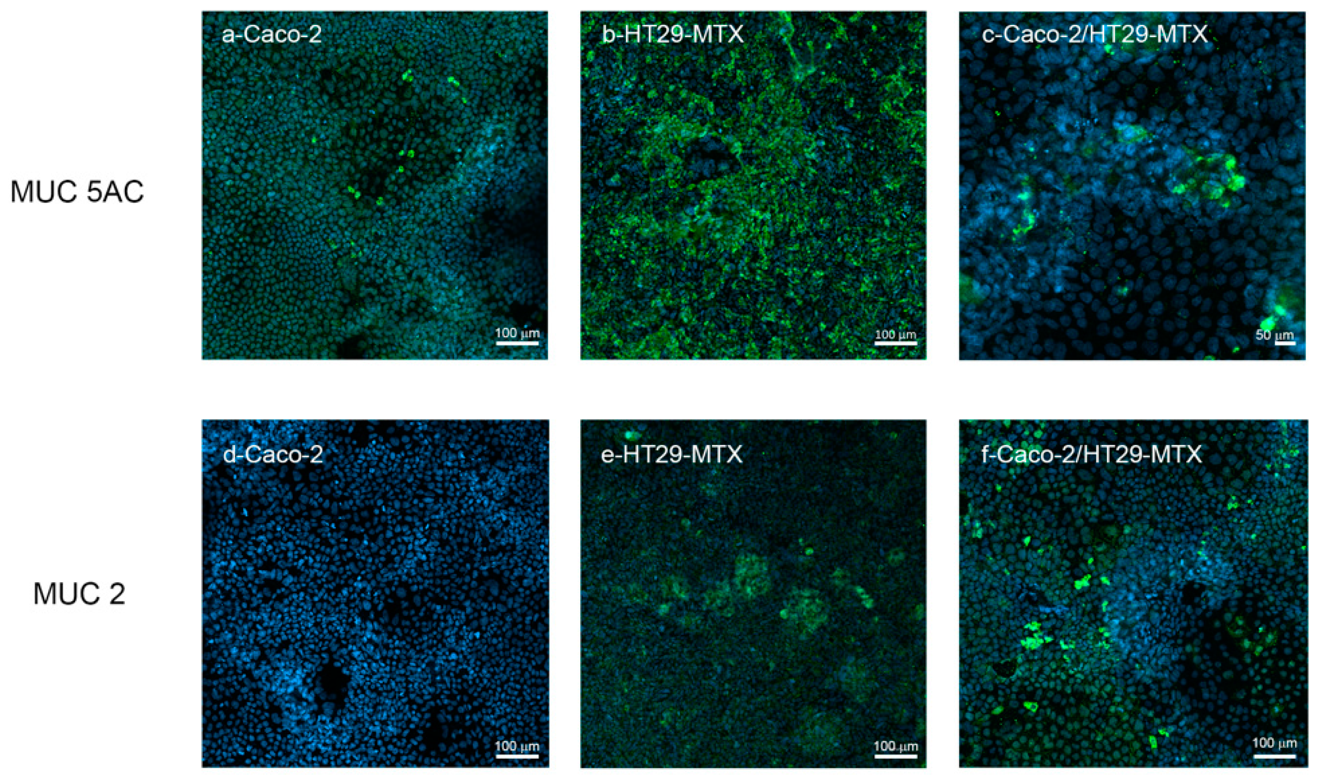 Cells 11 03357 g009 Cells 11 03357 g009