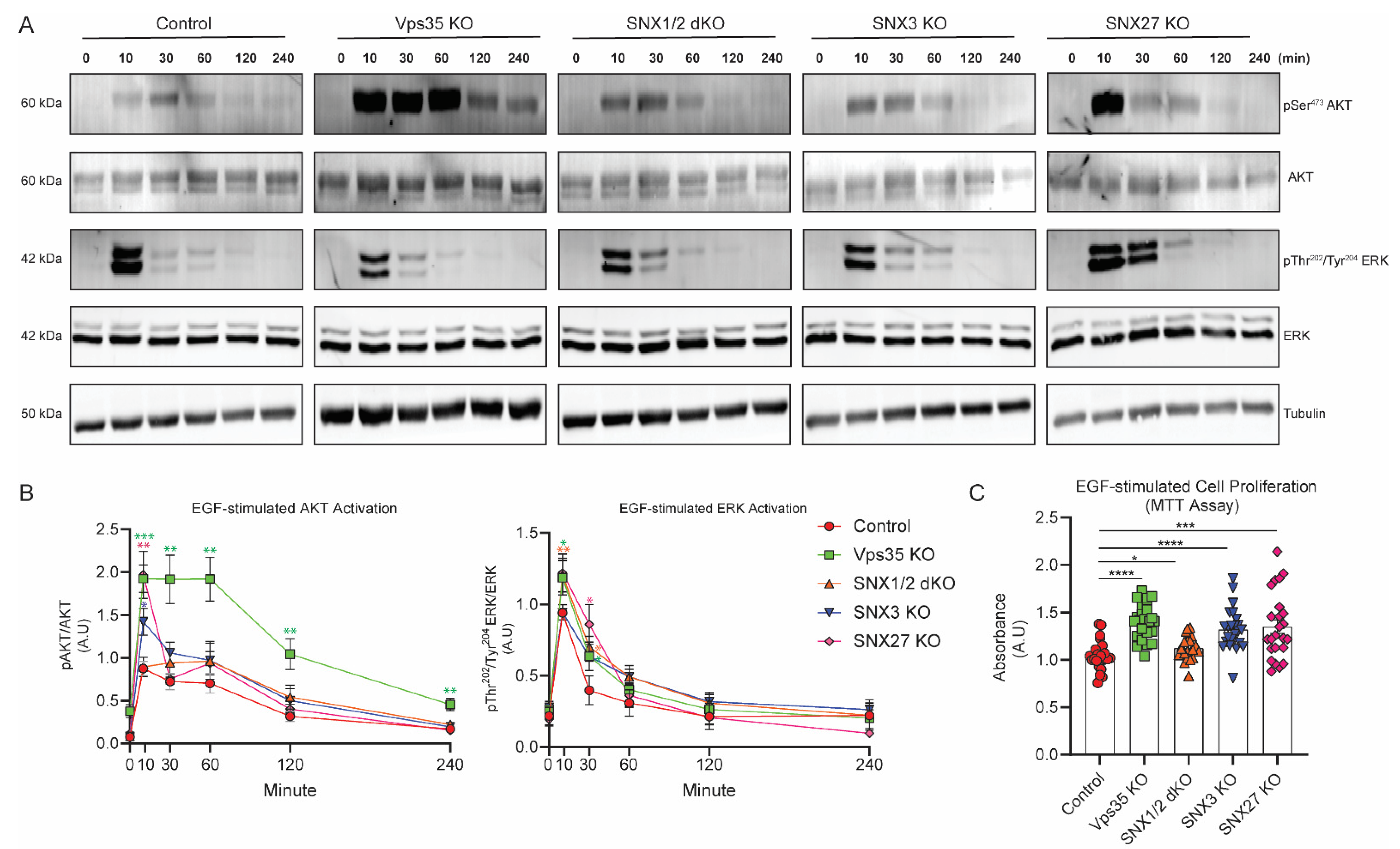 Cells 11 03358 g006 Cells 11 03358 g006
