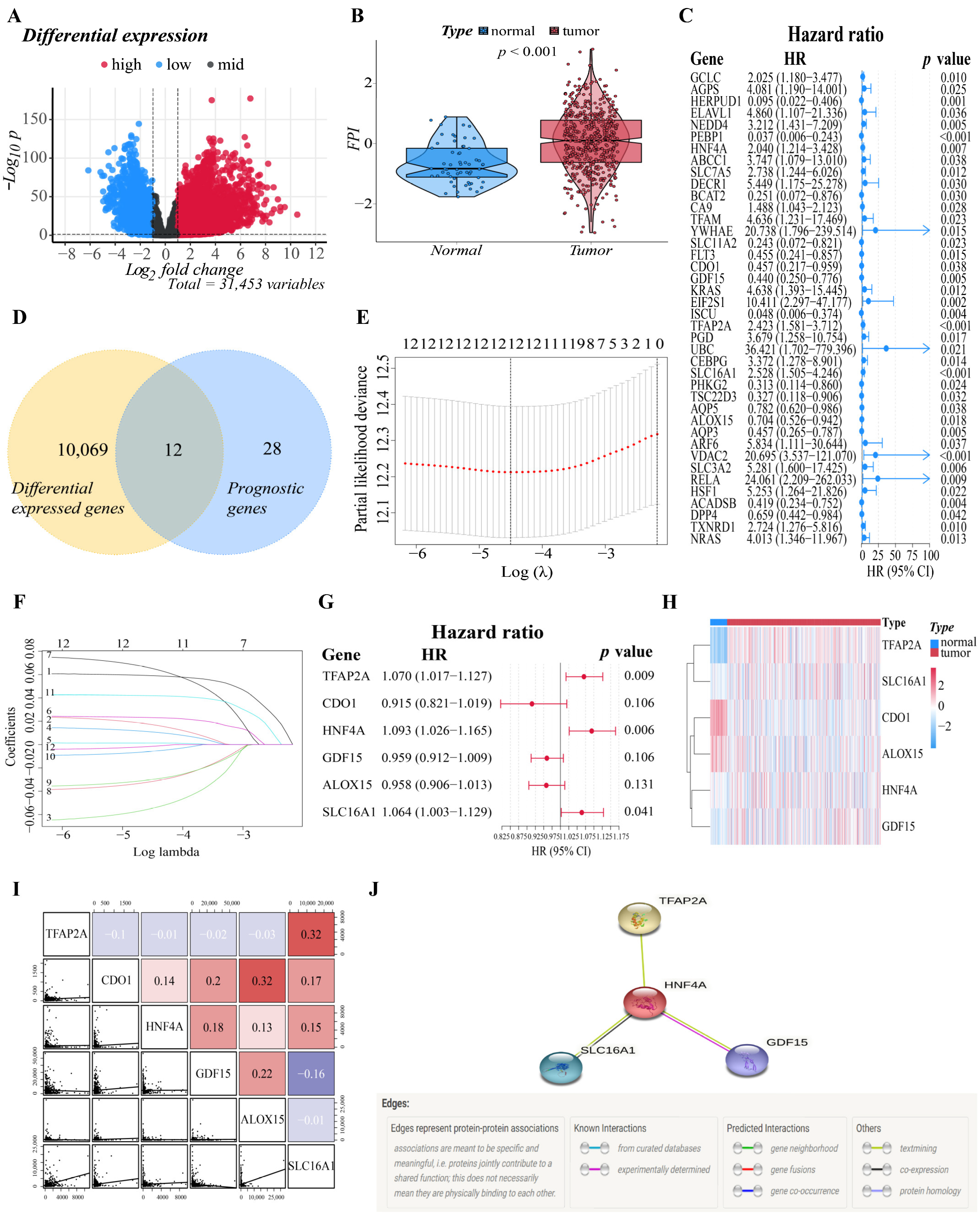 Cells 11 03371 g001 Cells 11 03371 g001